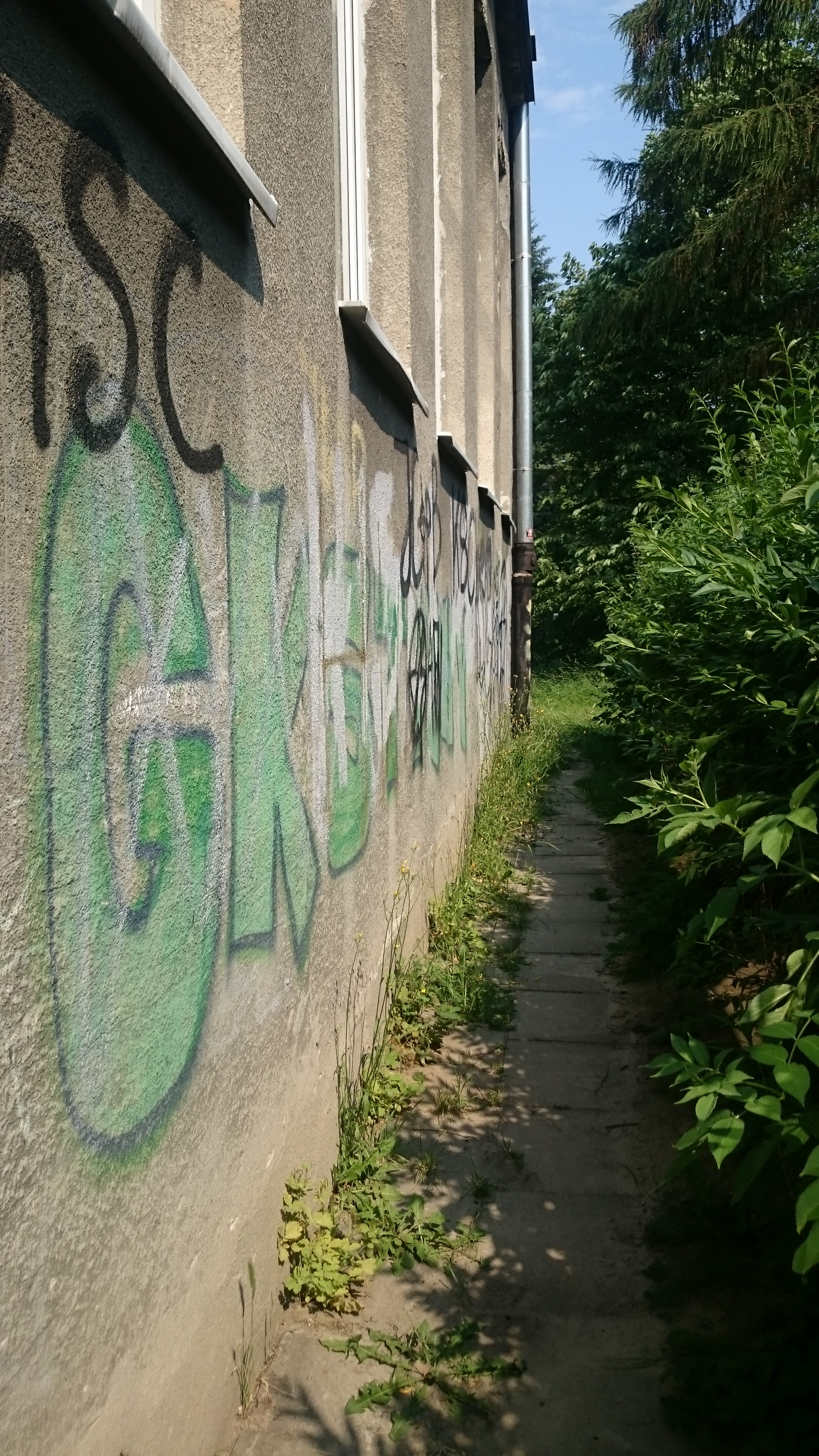 Zdjęcie przed zamalowaniem