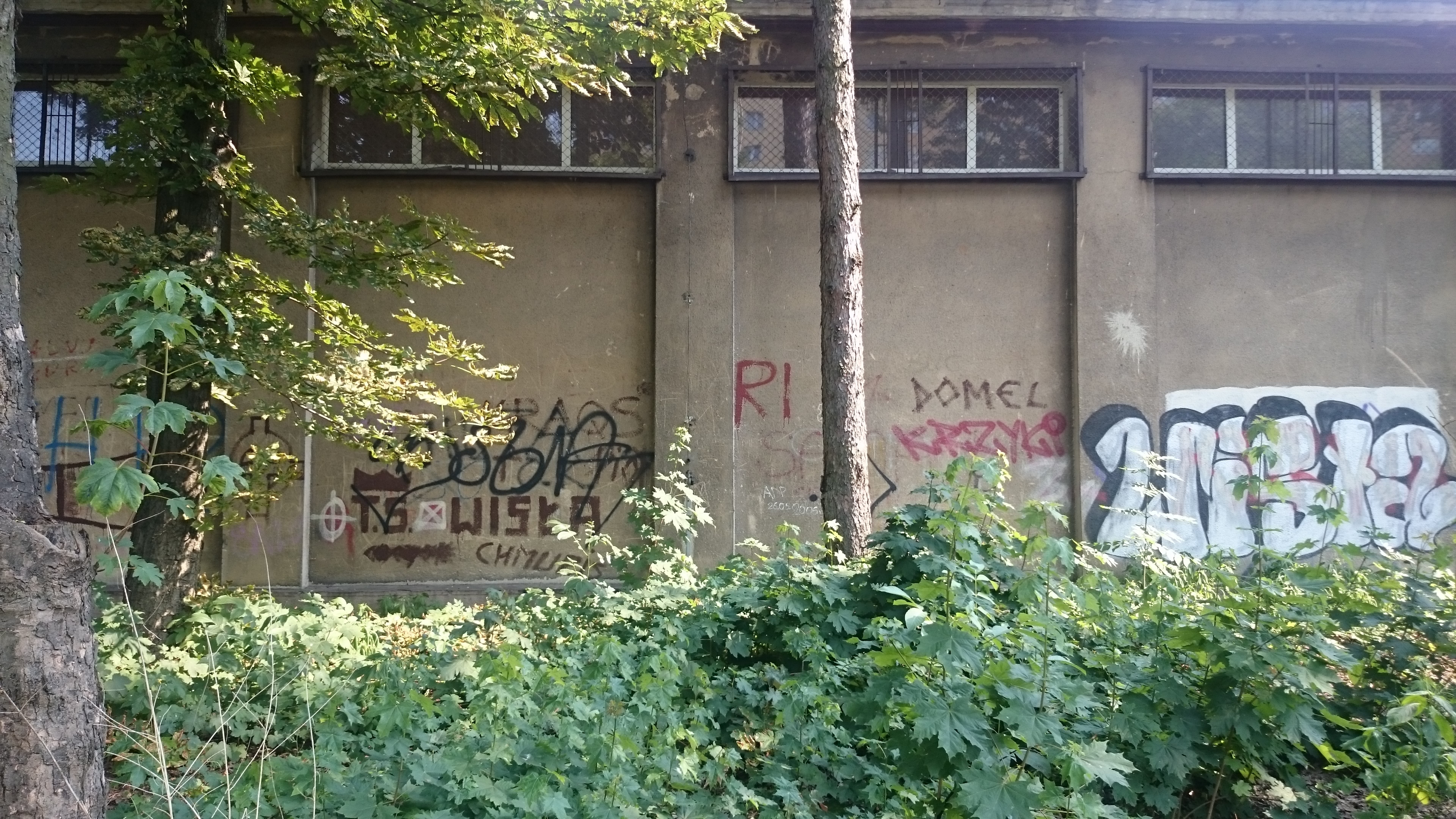 Zdjęcie przed zamalowaniem