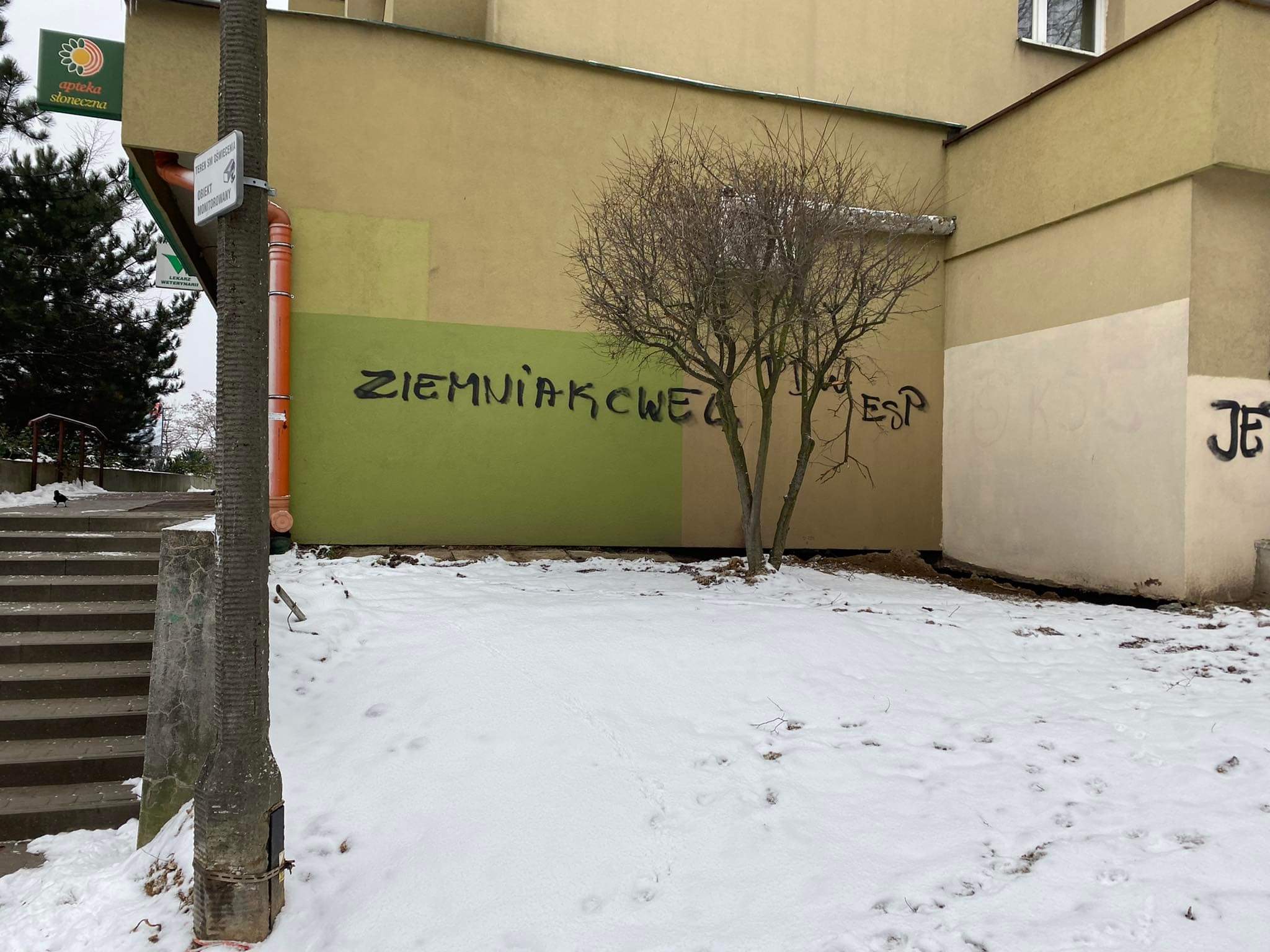 Zdjęcie przed zamalowaniem