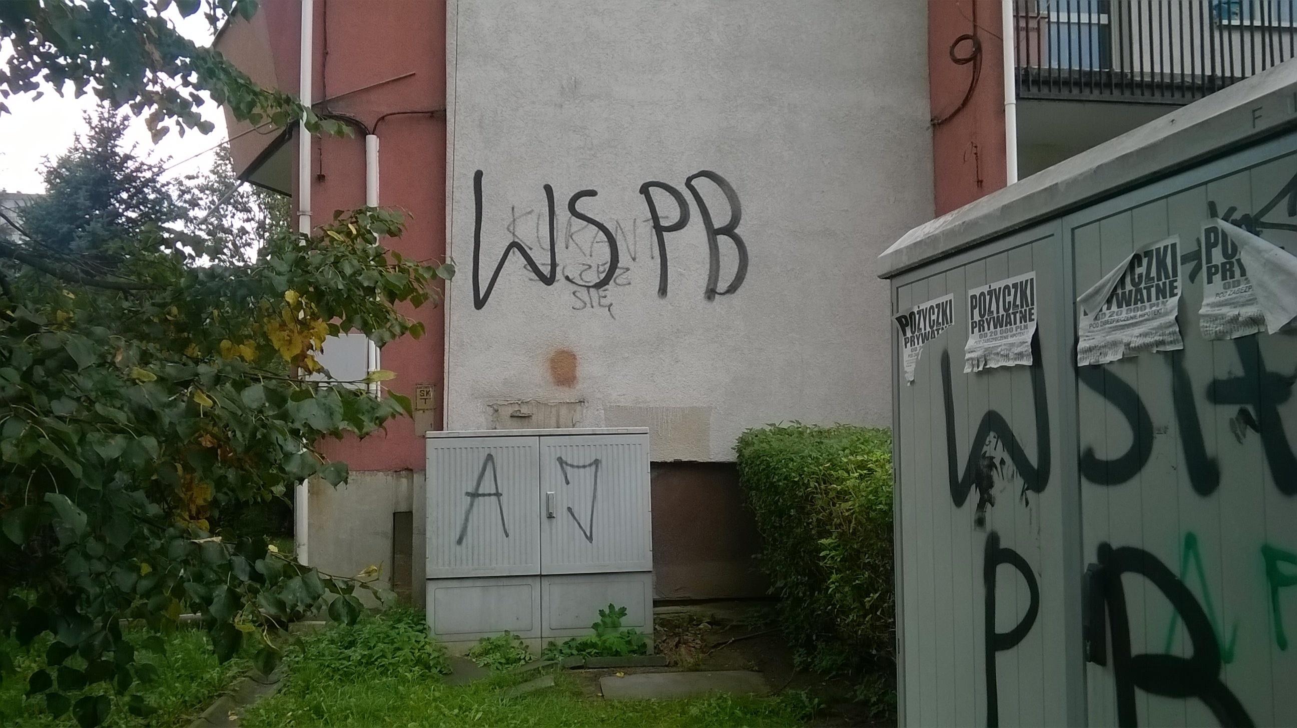 Zdjęcie przed zamalowaniem
