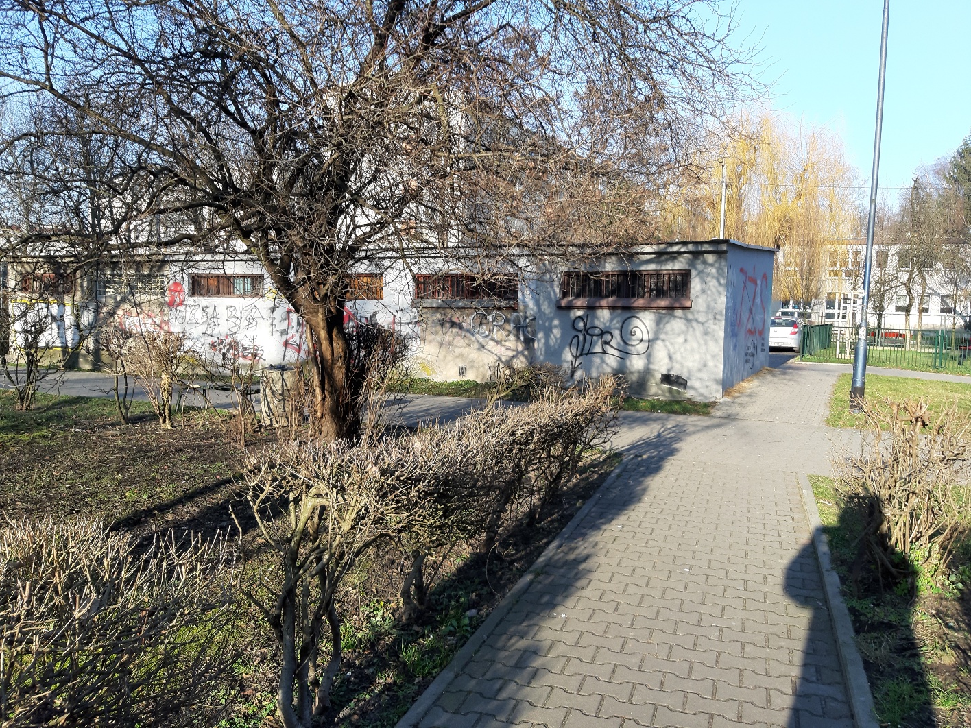 Zdjęcie przed zamalowaniem