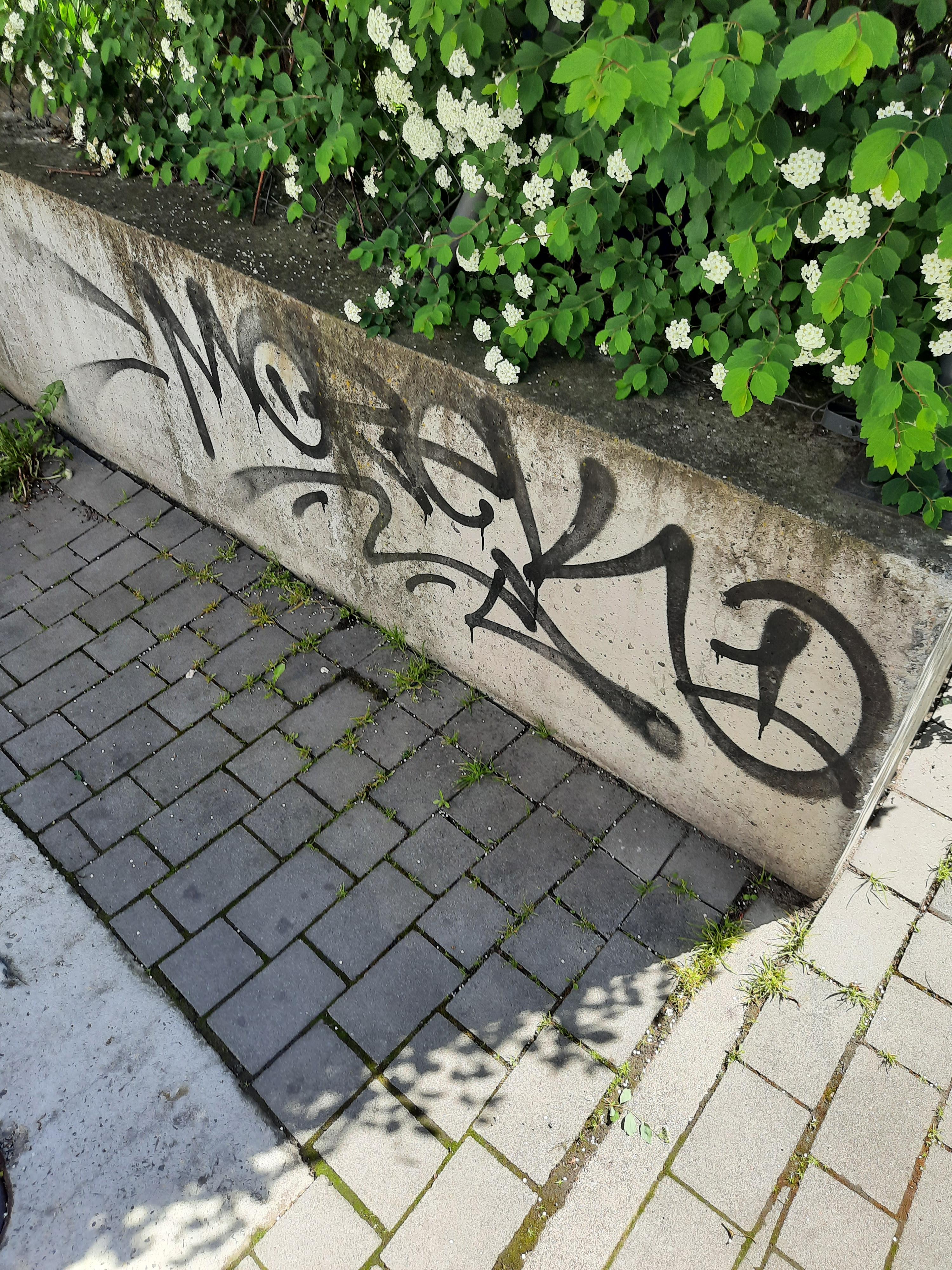 Zdjęcie przed zamalowaniem
