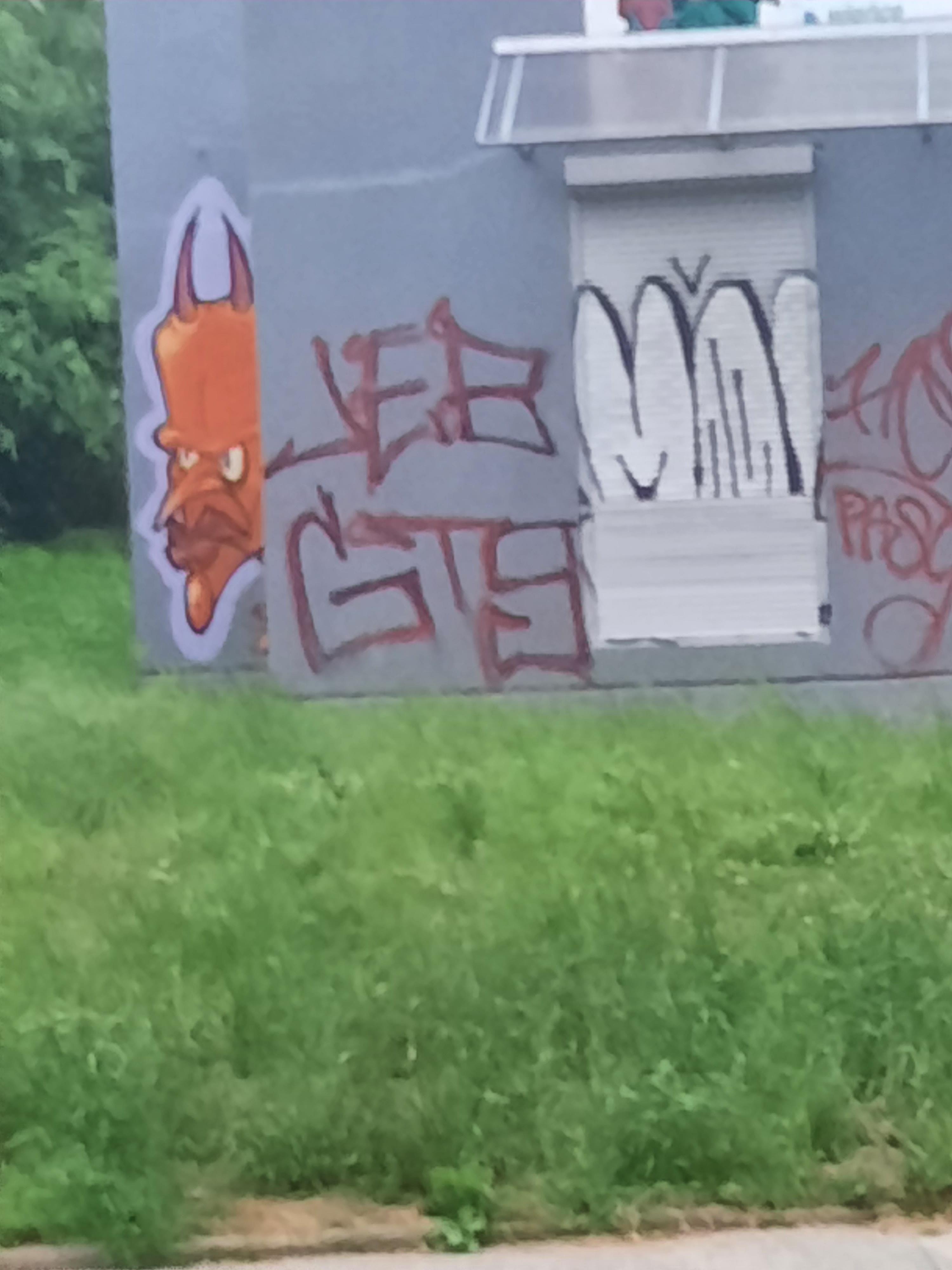 Zdjęcie przed zamalowaniem