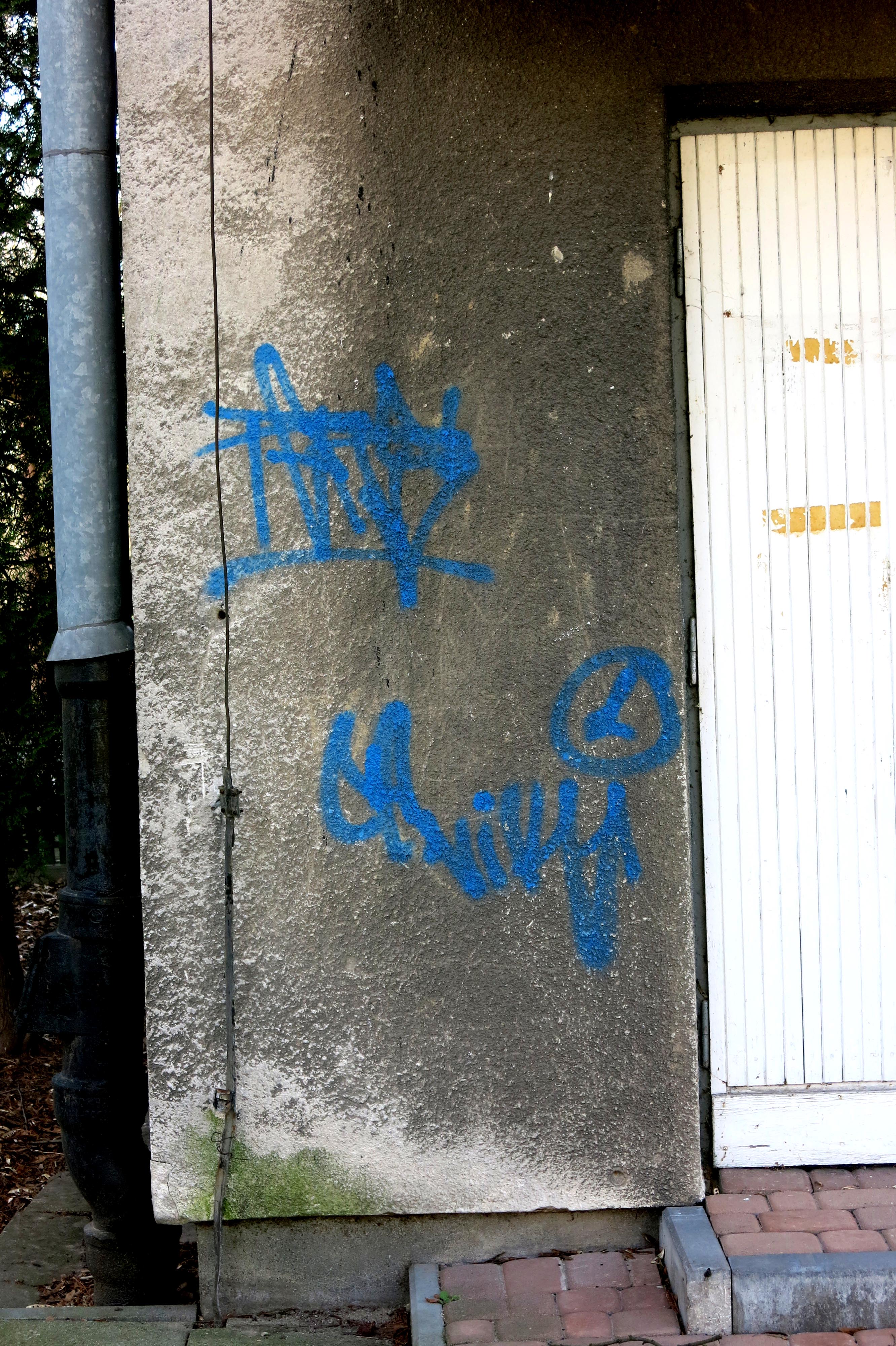 Zdjęcie przed zamalowaniem