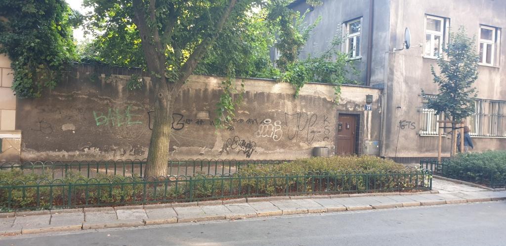 Zdjęcie przed zamalowaniem