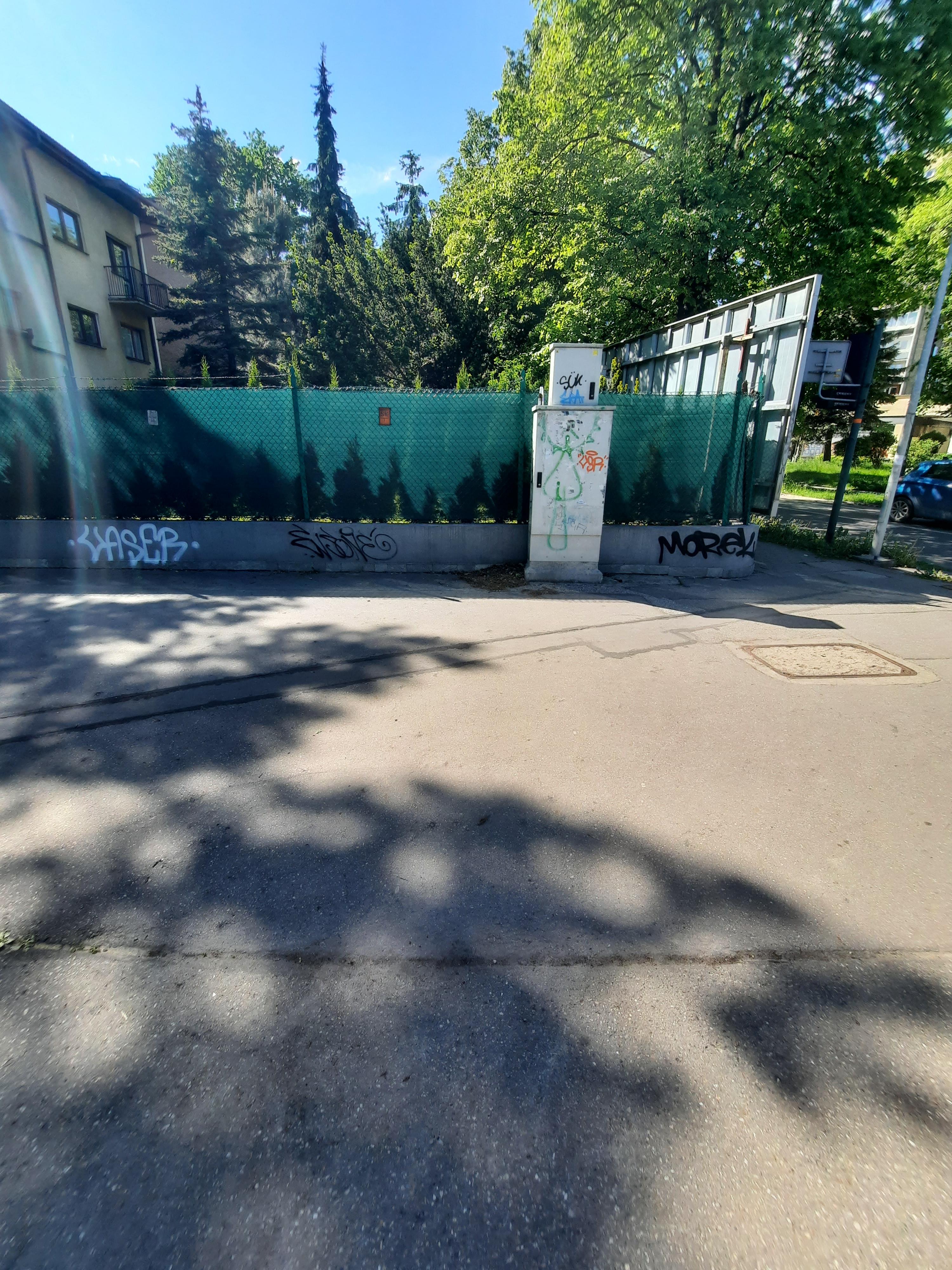 Zdjęcie przed zamalowaniem