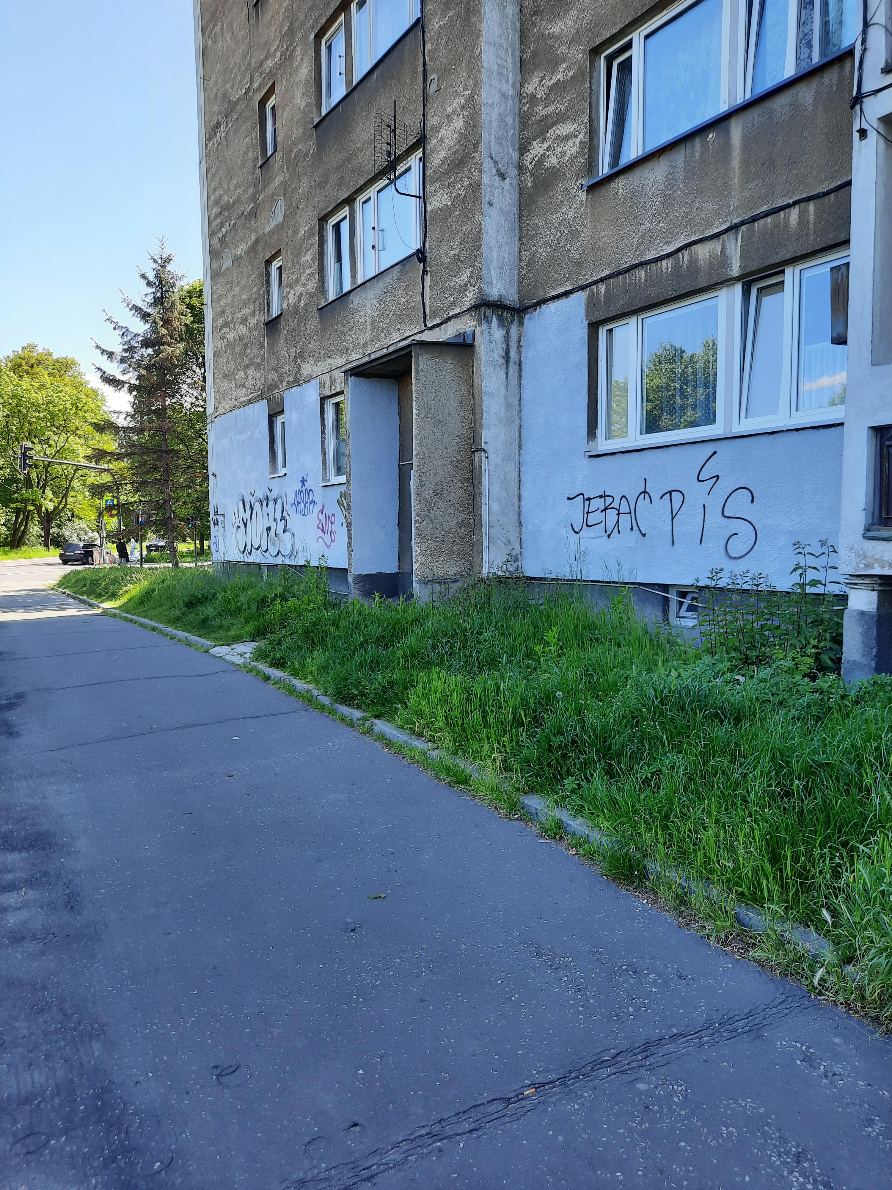 Zdjęcie przed zamalowaniem