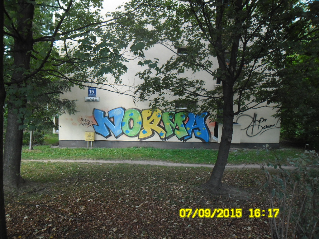 Zdjęcie przed zamalowaniem