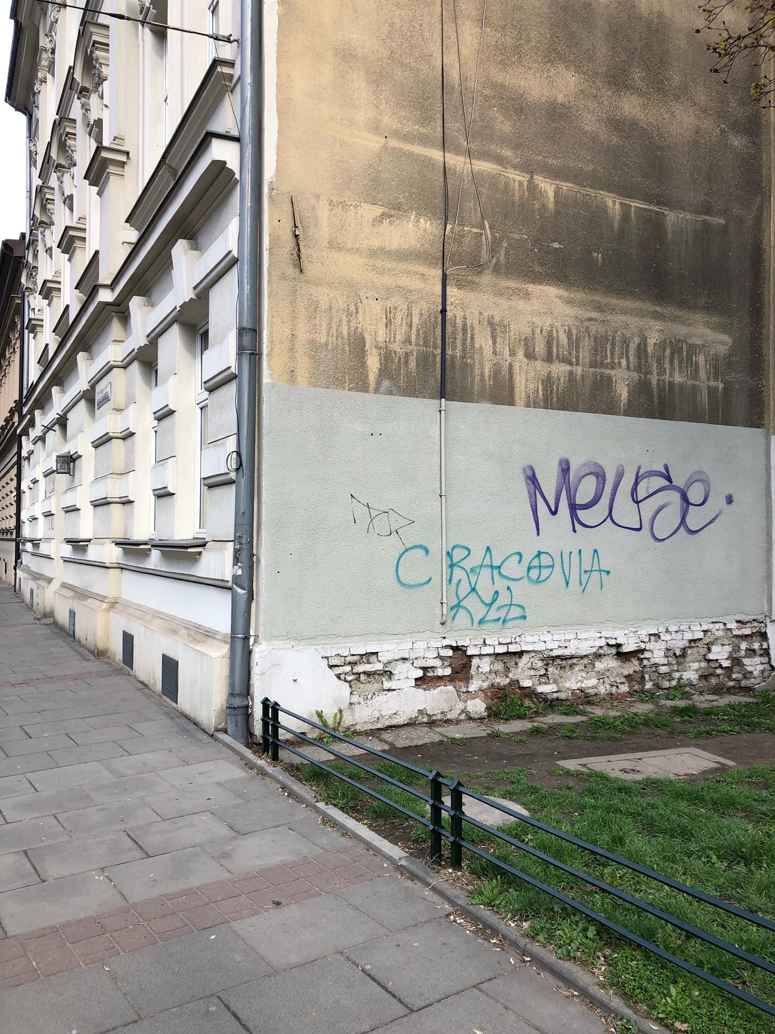 Zdjęcie przed zamalowaniem