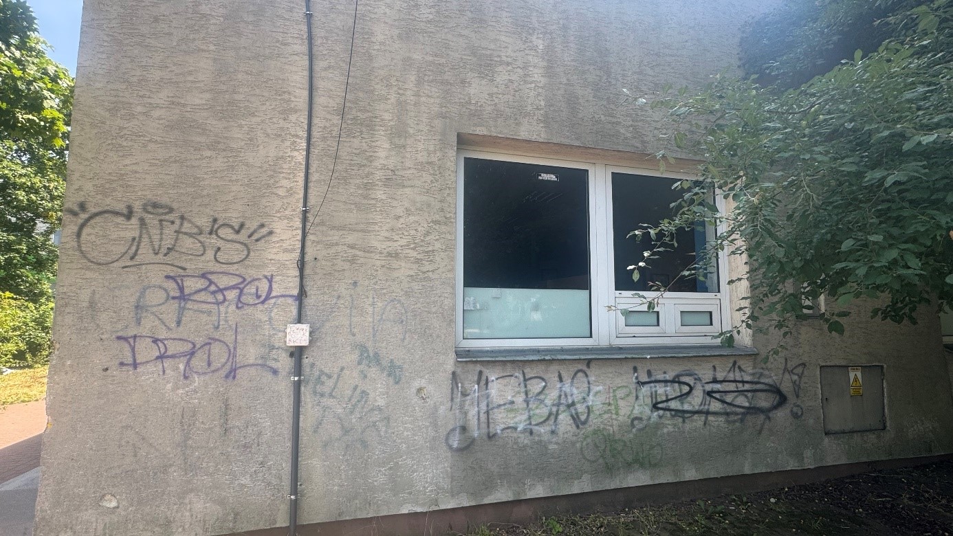 Zdjęcie przed zamalowaniem