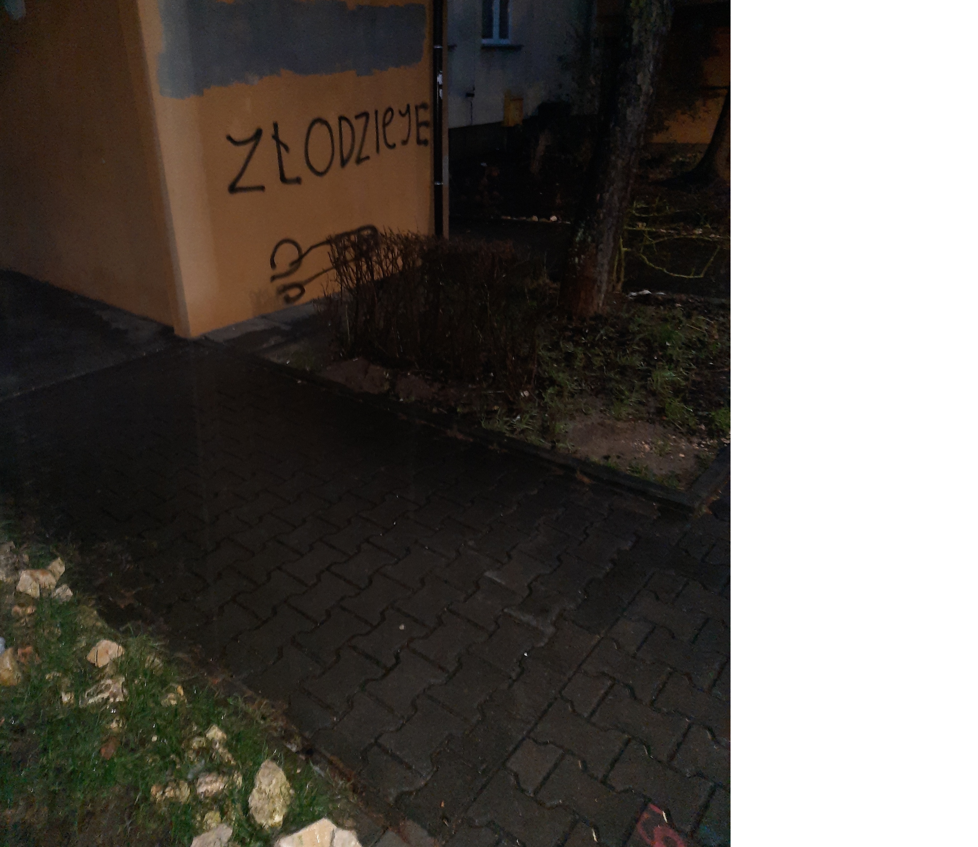 Zdjęcie przed zamalowaniem