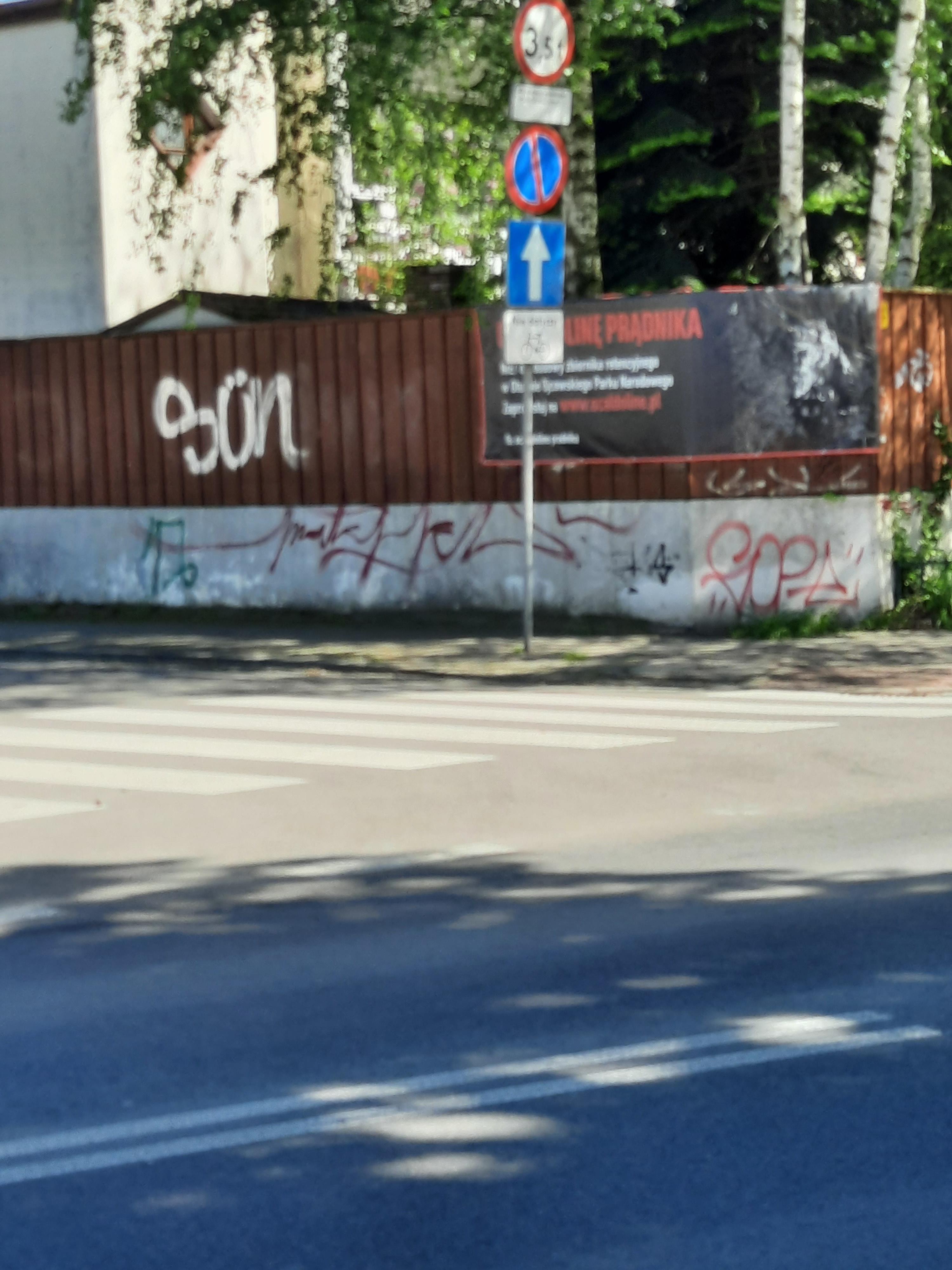 Zdjęcie przed zamalowaniem