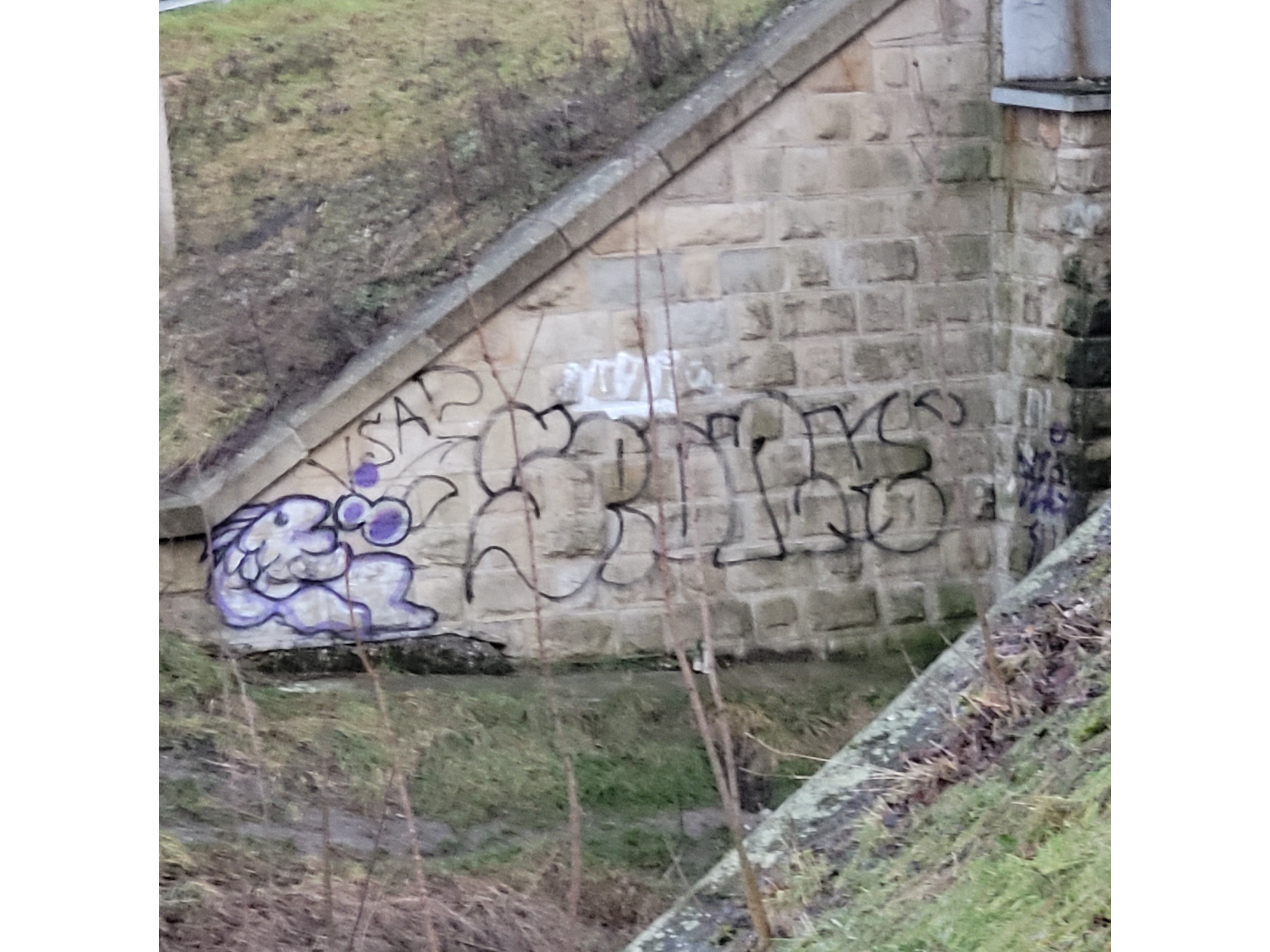 Zdjęcie przed zamalowaniem