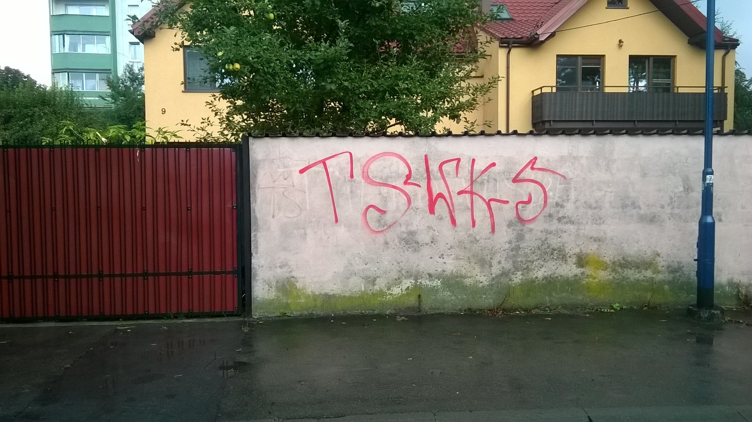 Zdjęcie przed zamalowaniem