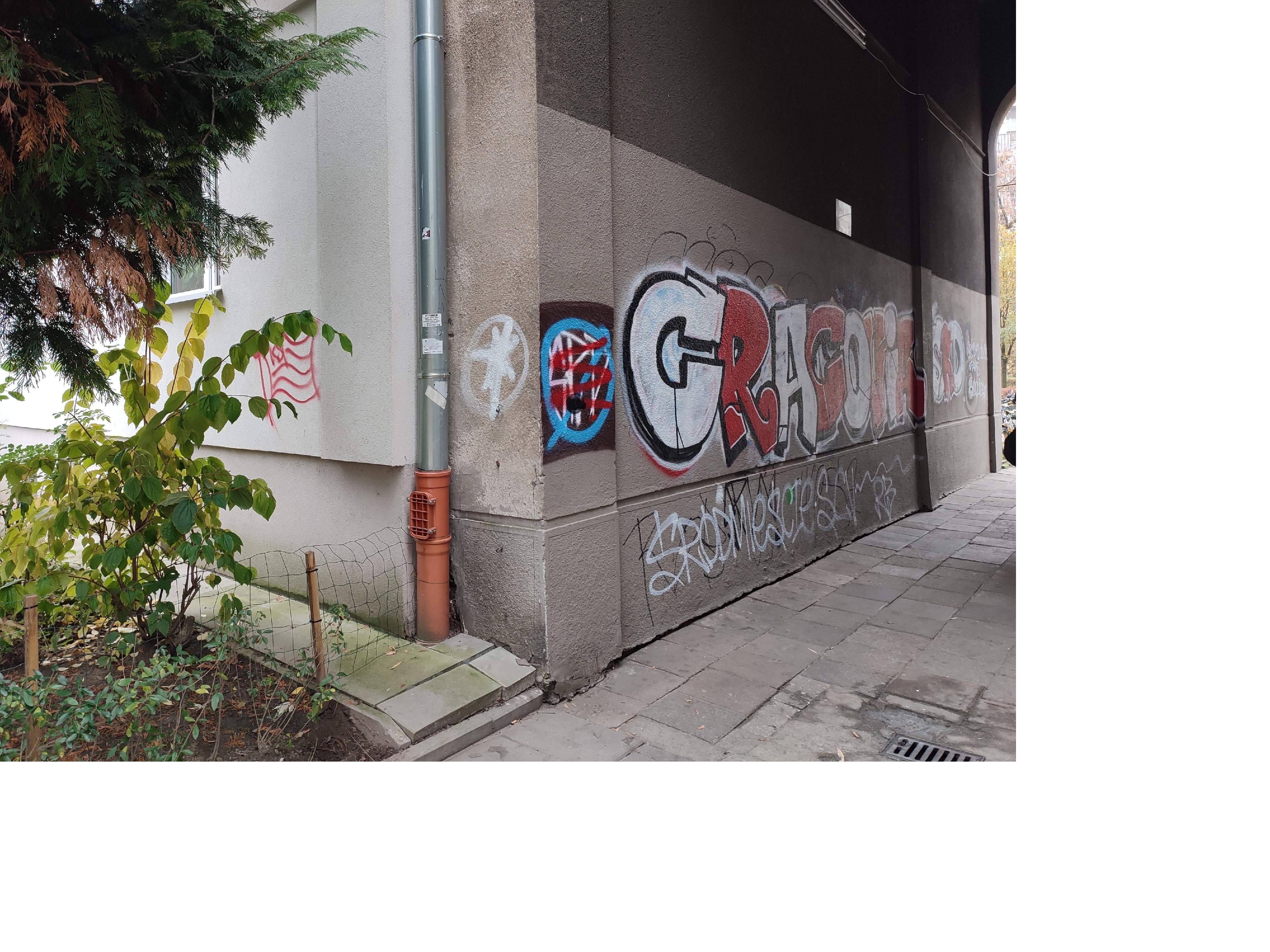 Zdjęcie przed zamalowaniem