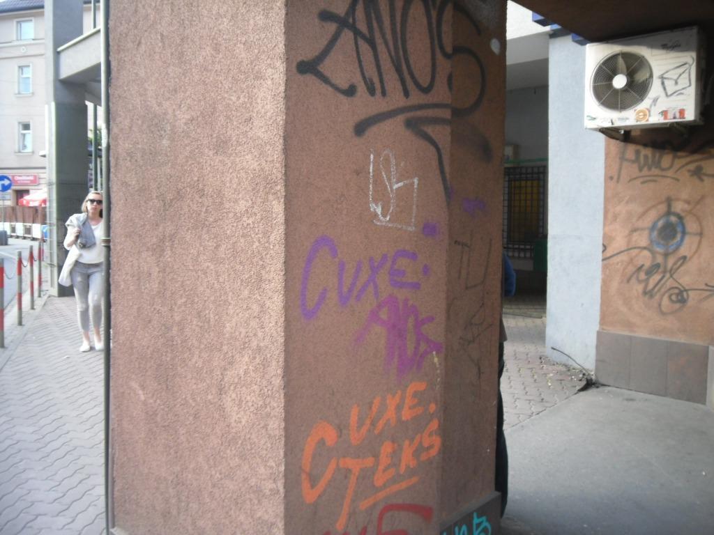 Zdjęcie przed zamalowaniem