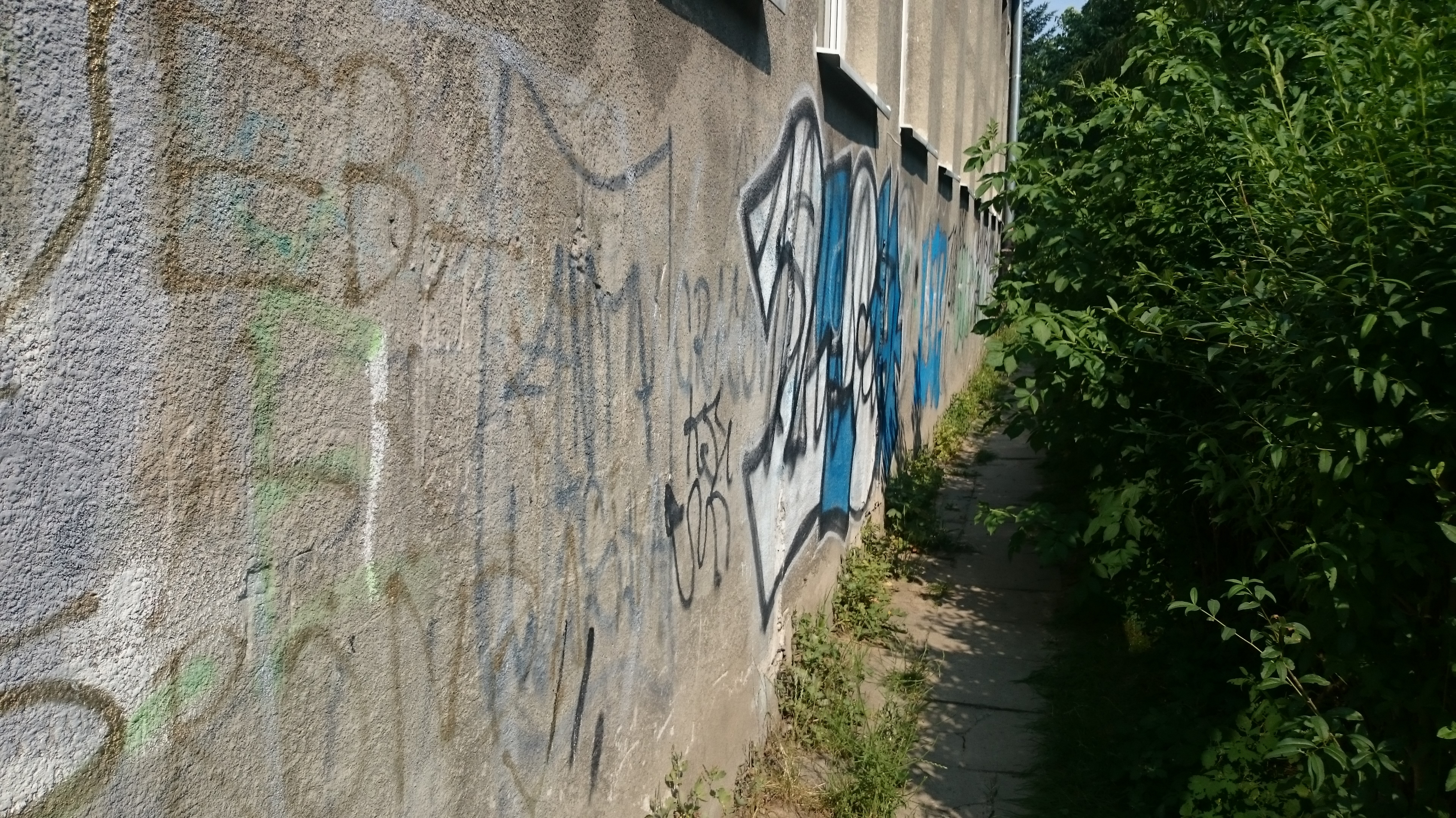 Zdjęcie przed zamalowaniem