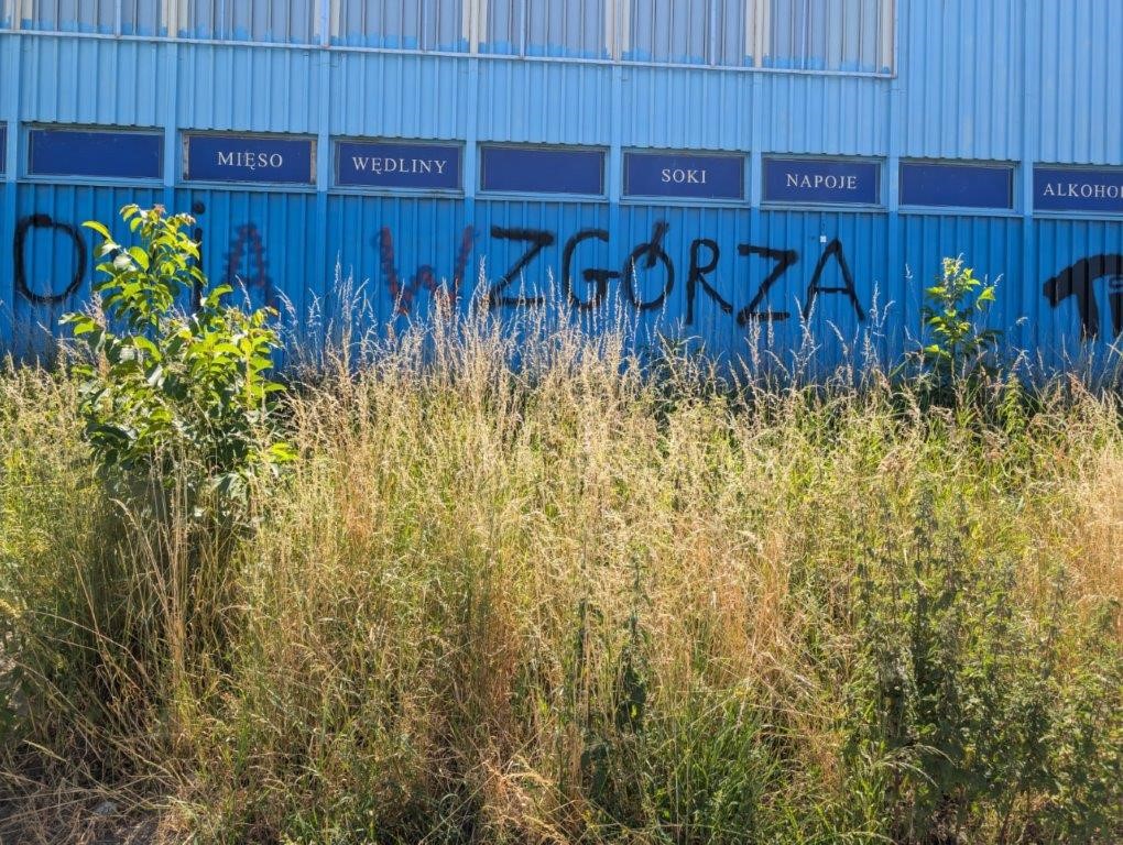 Zdjęcie przed zamalowaniem