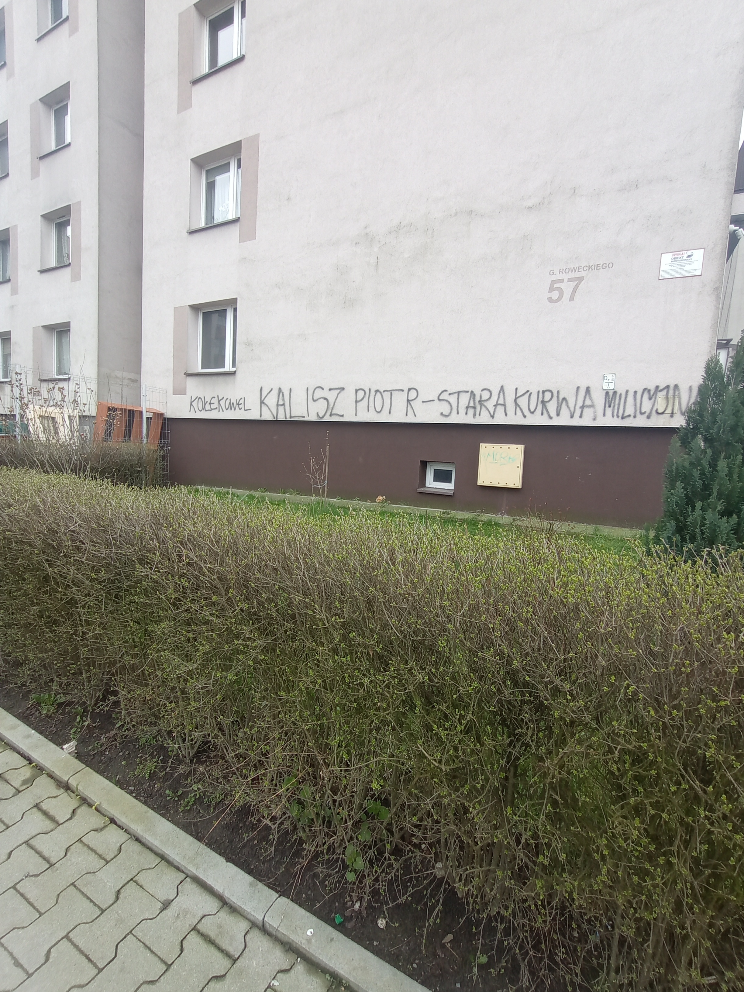 Zdjęcie przed zamalowaniem
