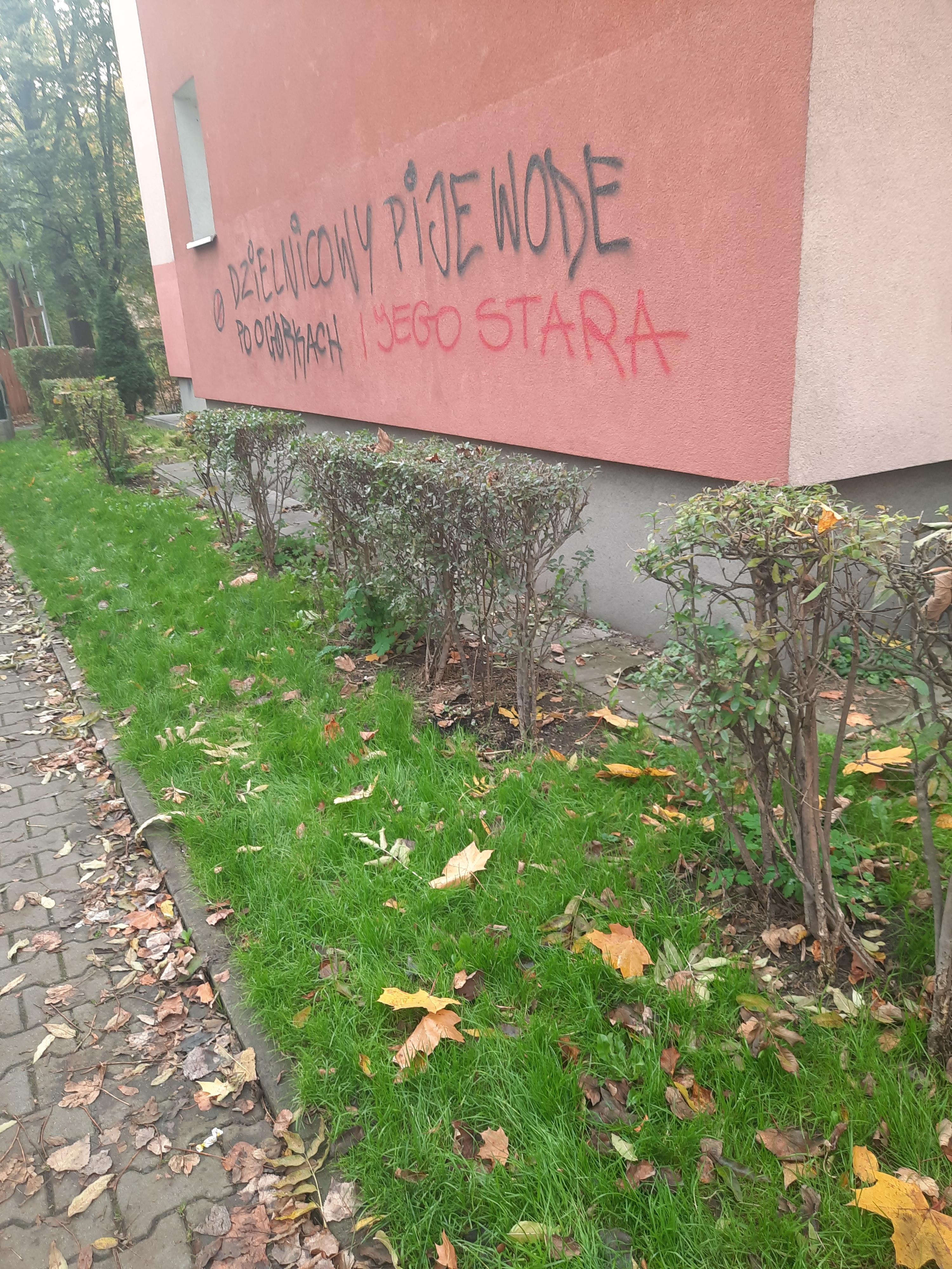 Zdjęcie przed zamalowaniem