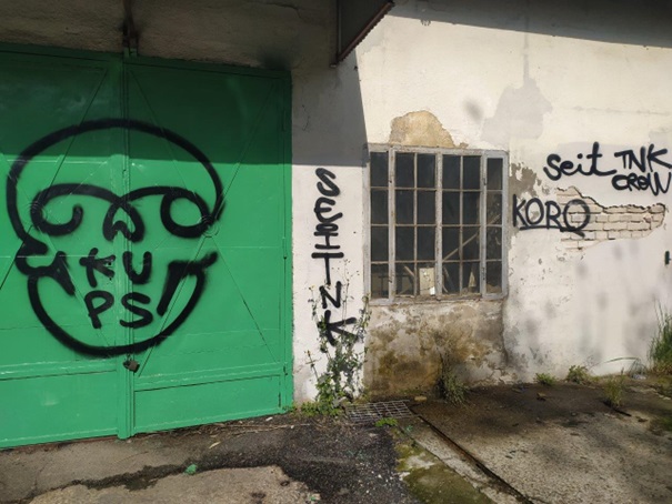 Zdjęcie przed zamalowaniem