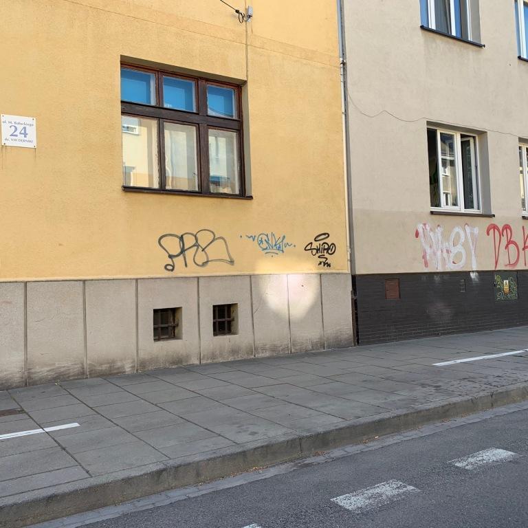 Zdjęcie przed zamalowaniem
