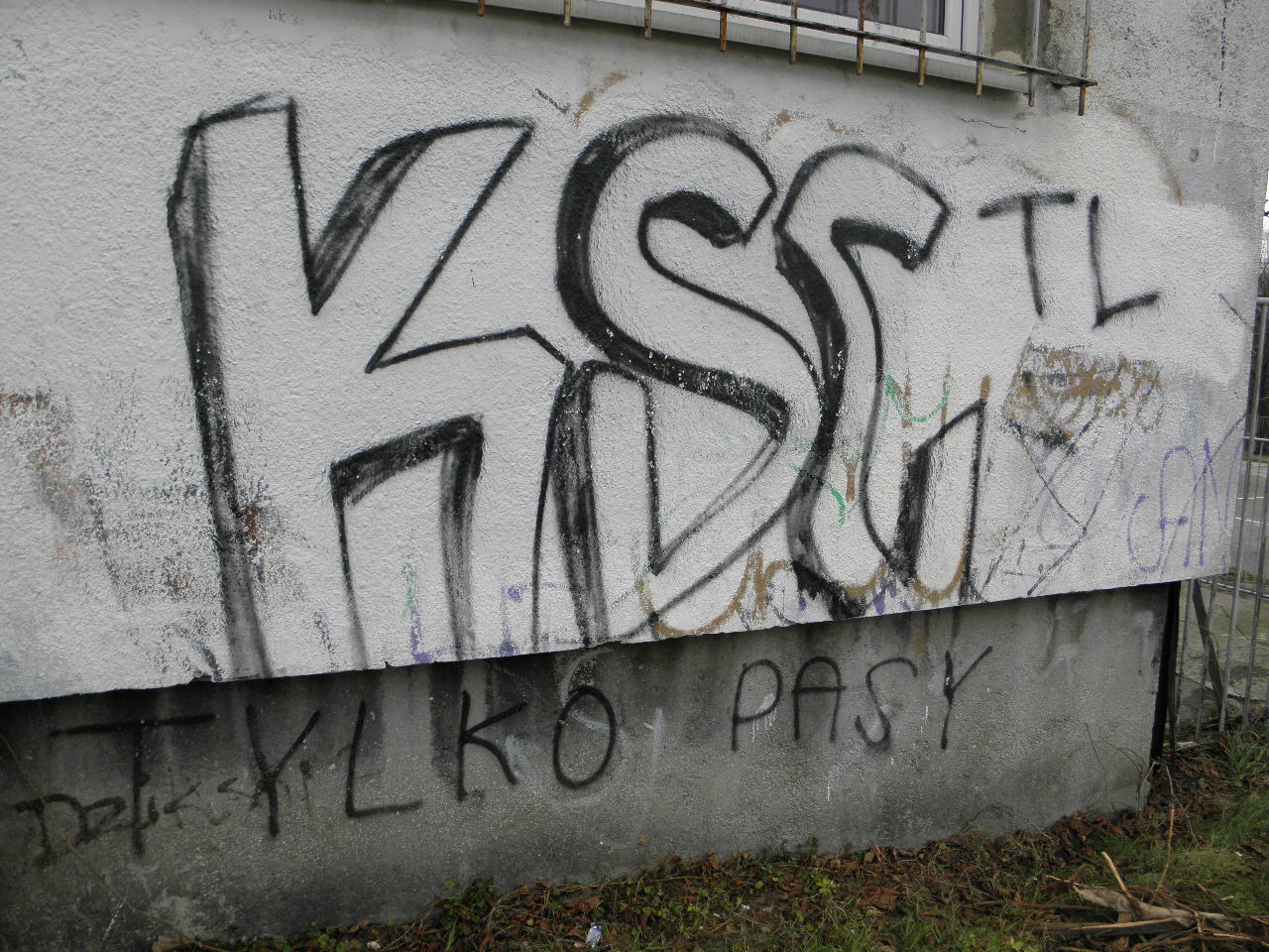 Zdjęcie przed zamalowaniem