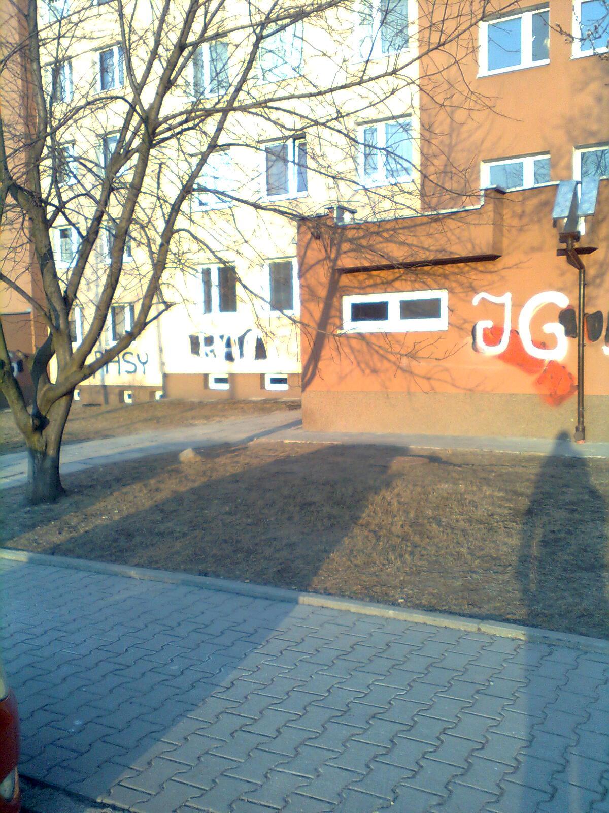 Zdjęcie przed zamalowaniem