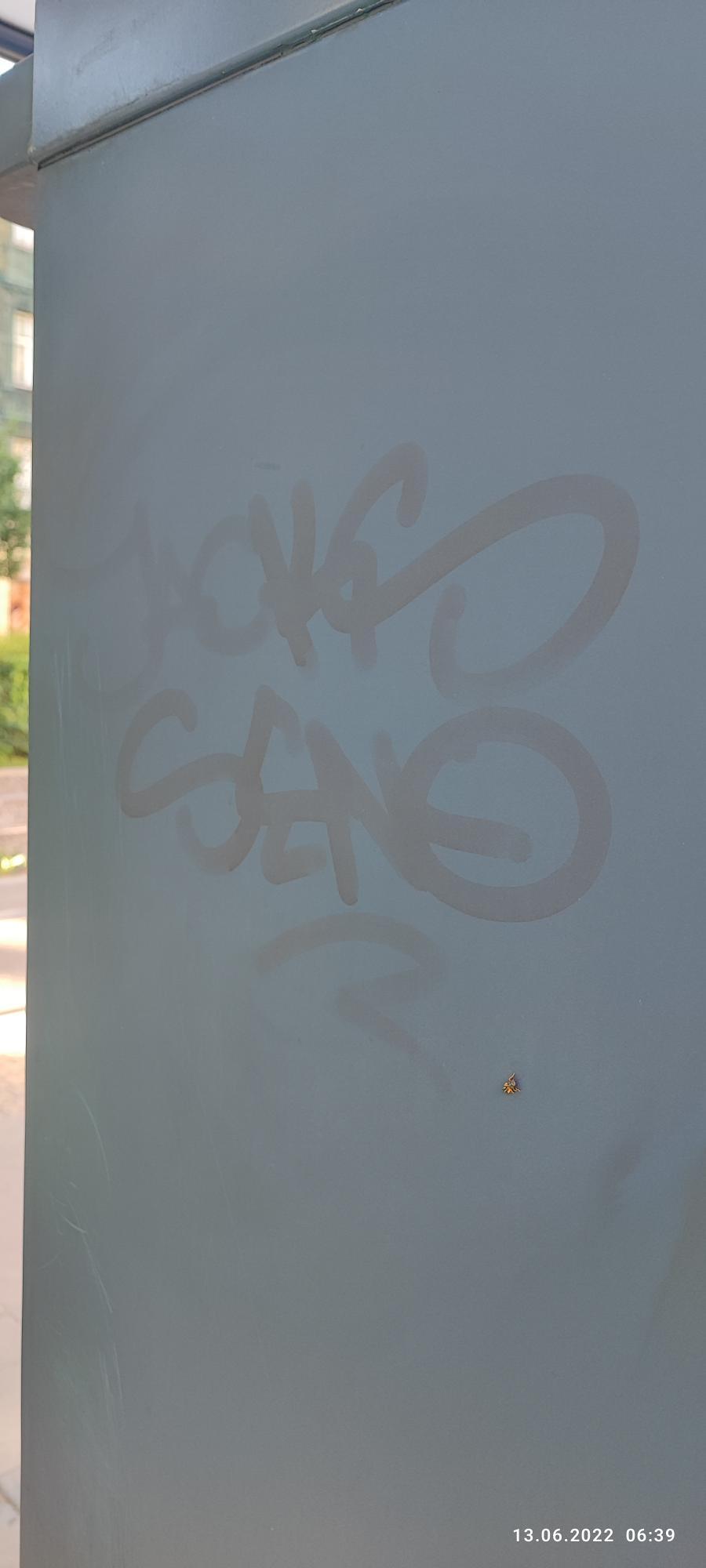 Zdjęcie przed zamalowaniem