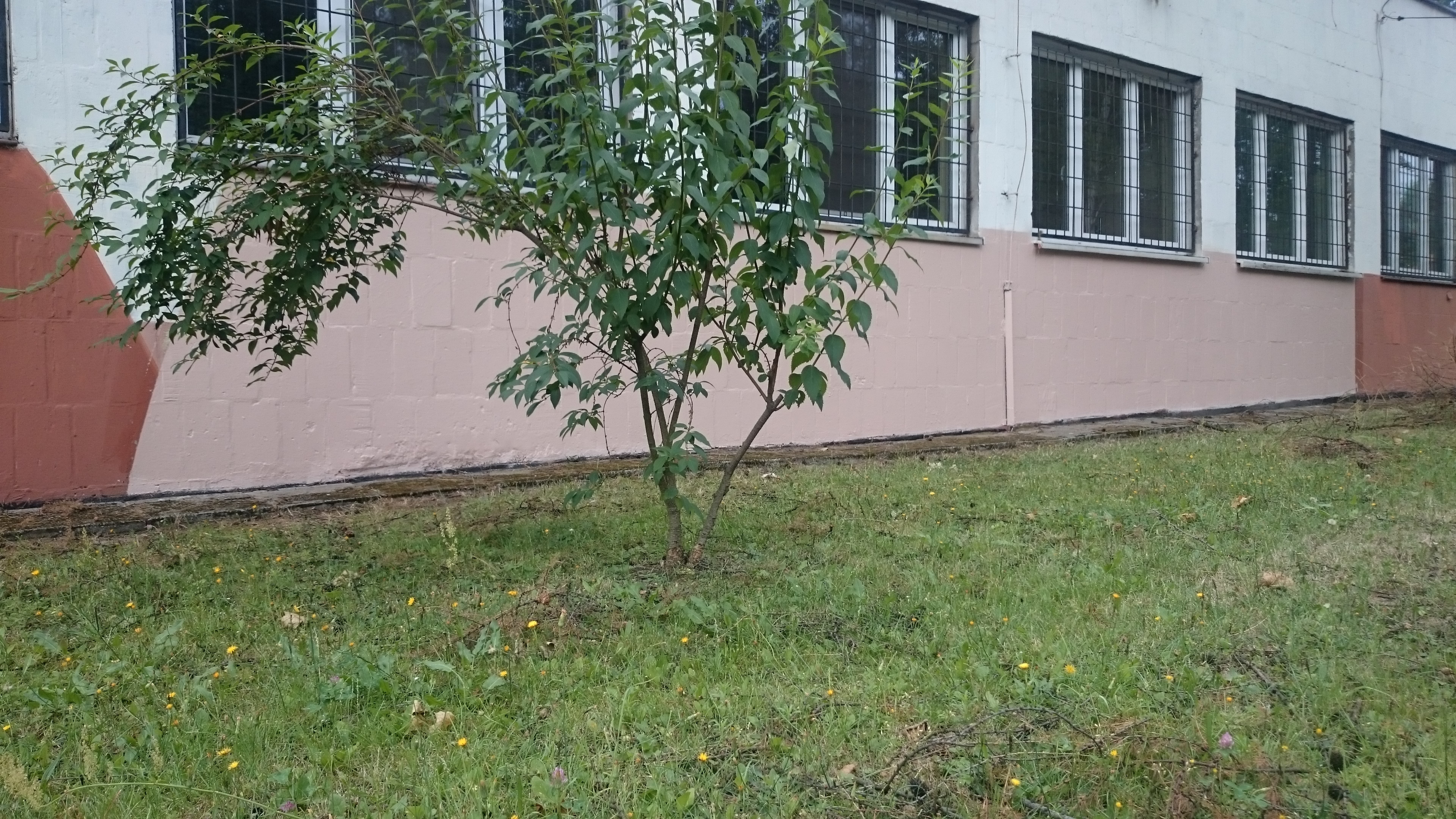 Zdjęcie po zamalowaniu