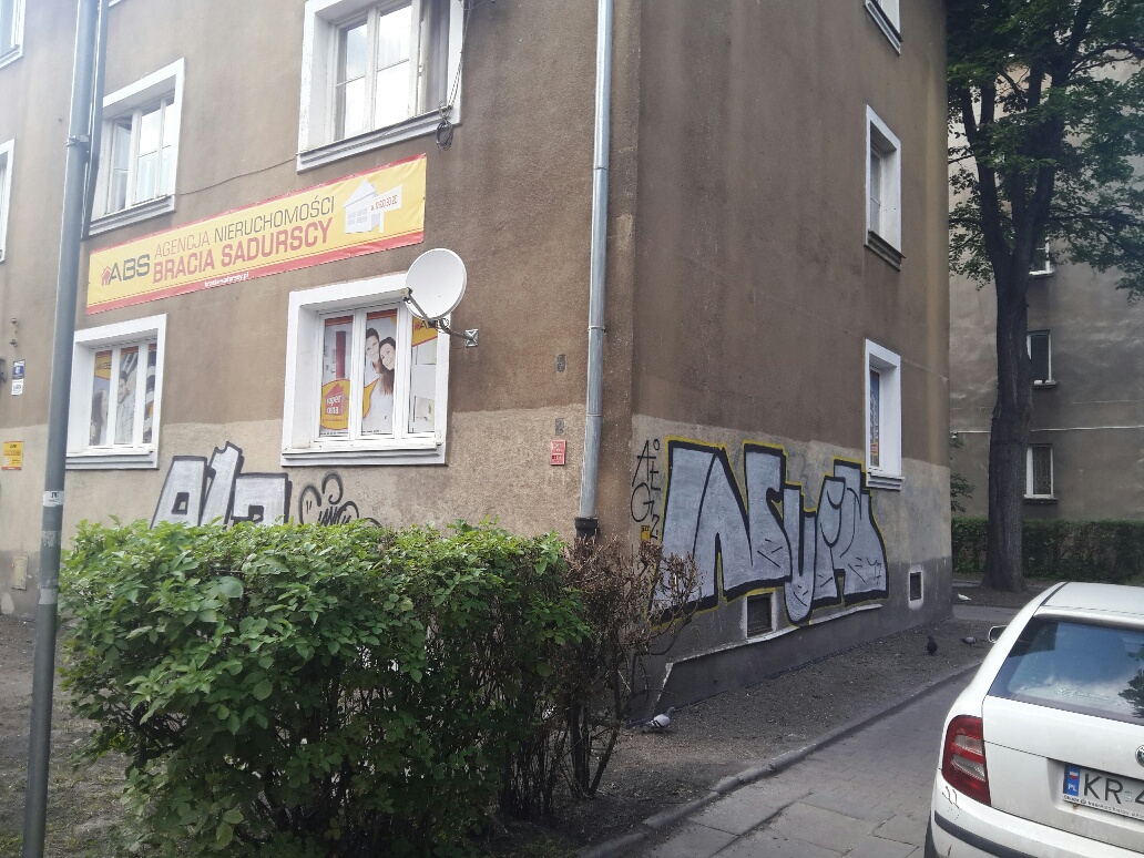 Zdjęcie przed zamalowaniem