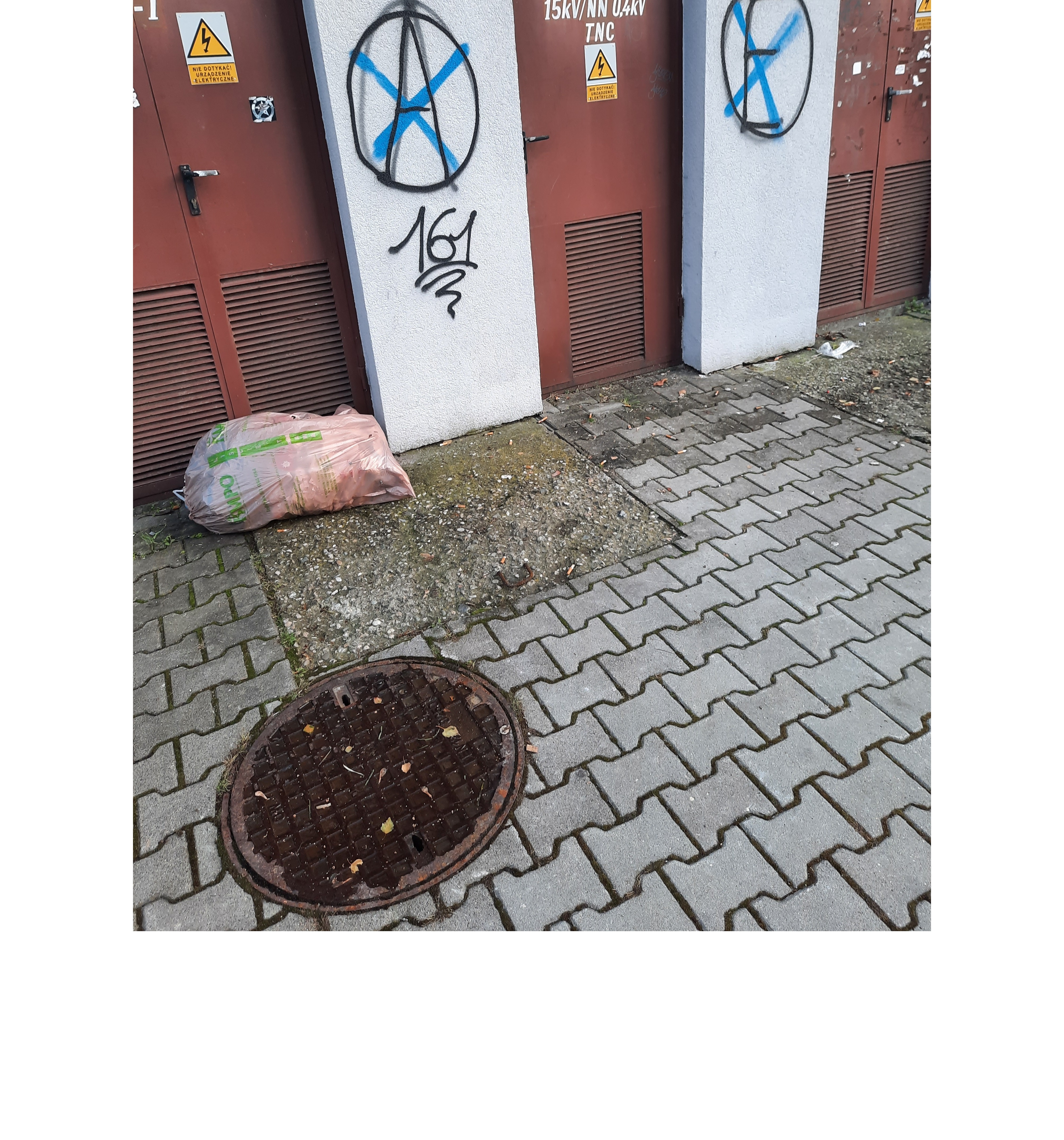 Zdjęcie przed zamalowaniem