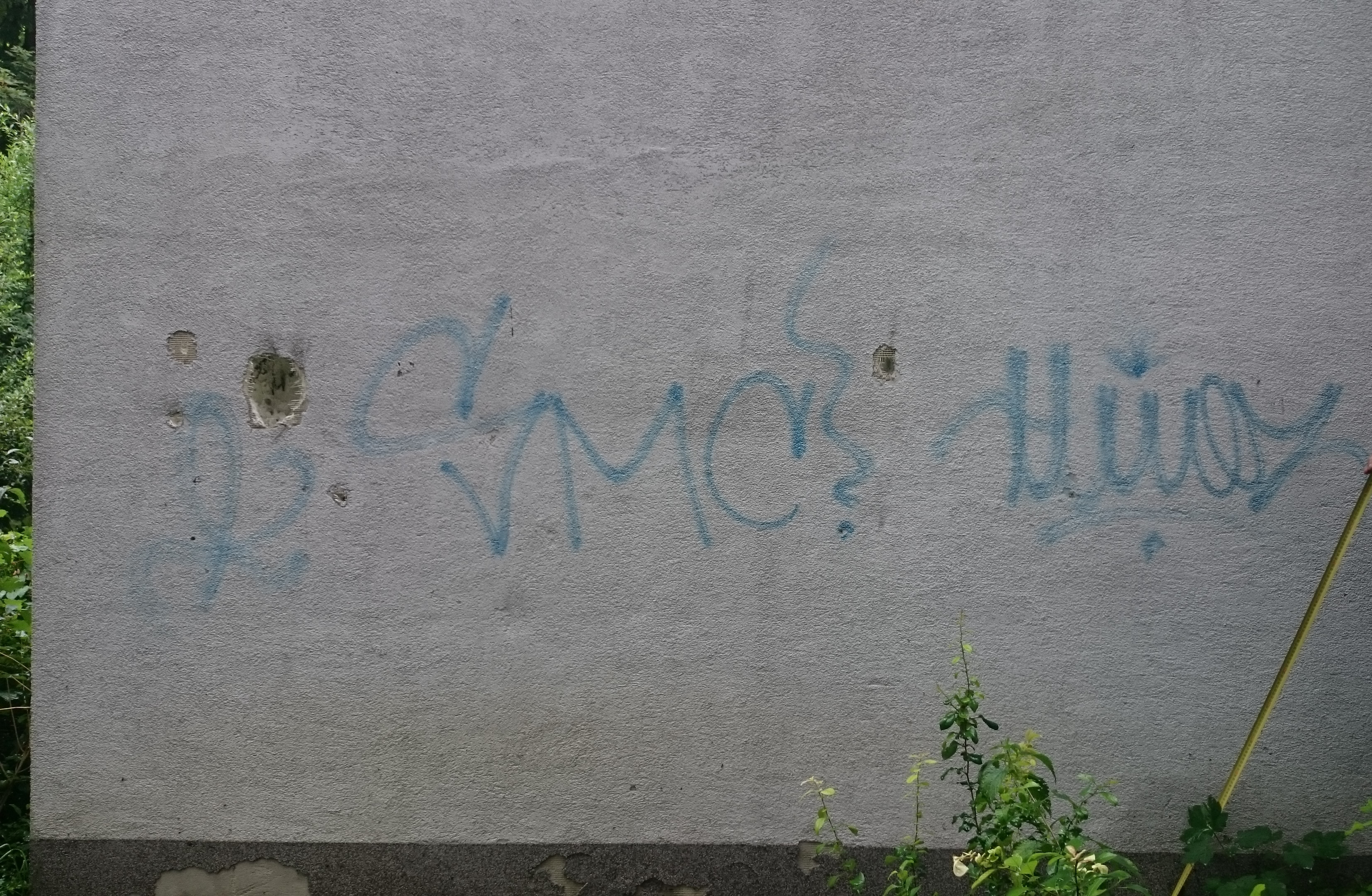 Zdjęcie przed zamalowaniem