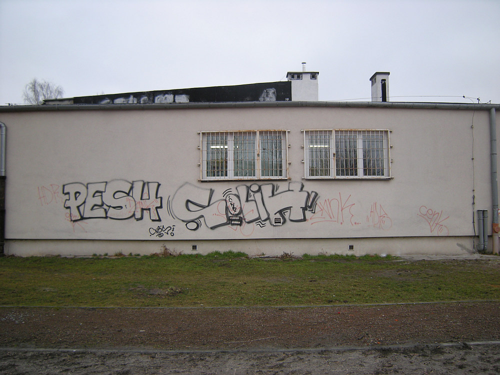 Zdjęcie przed zamalowaniem