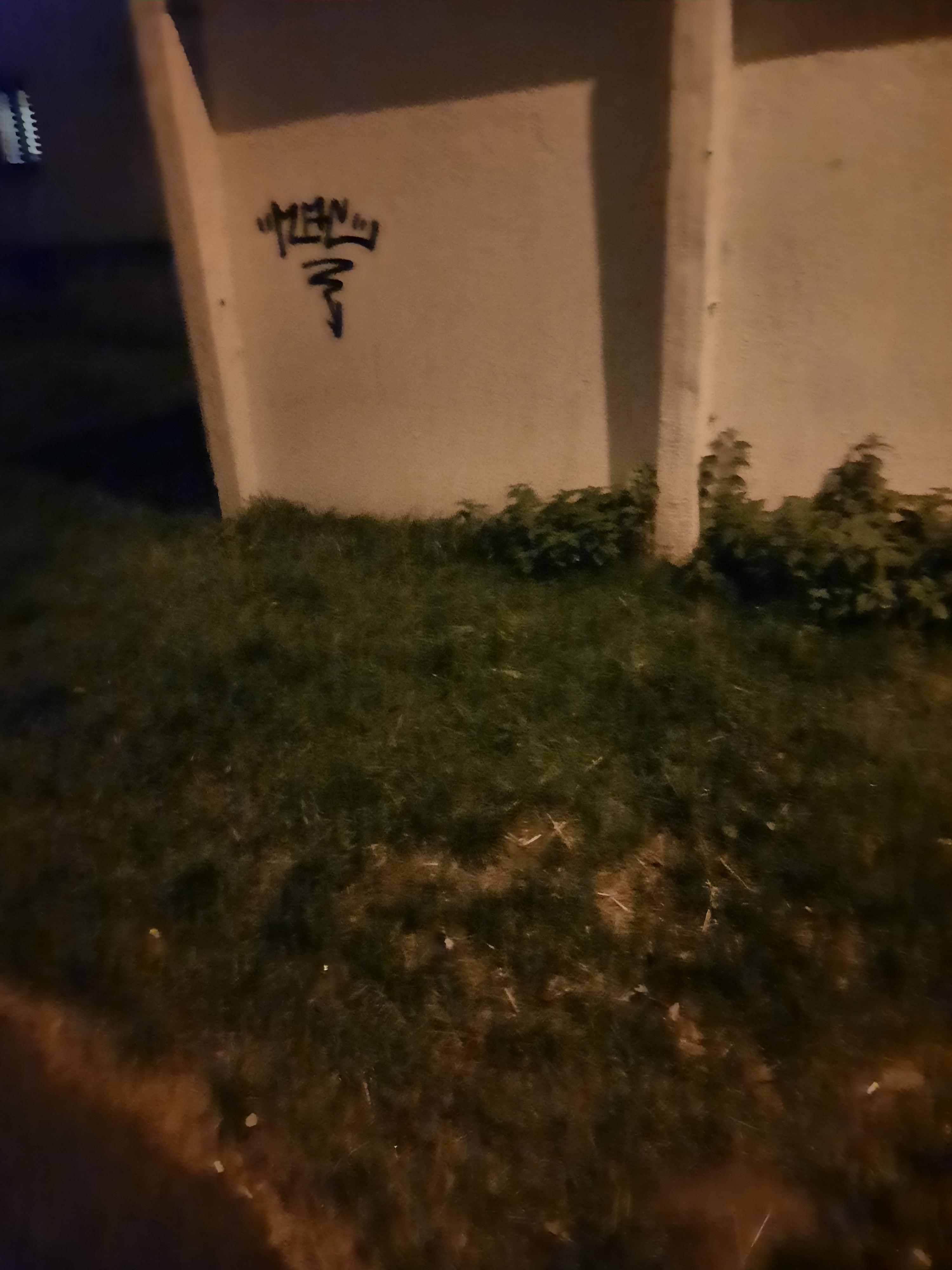 Zdjęcie przed zamalowaniem