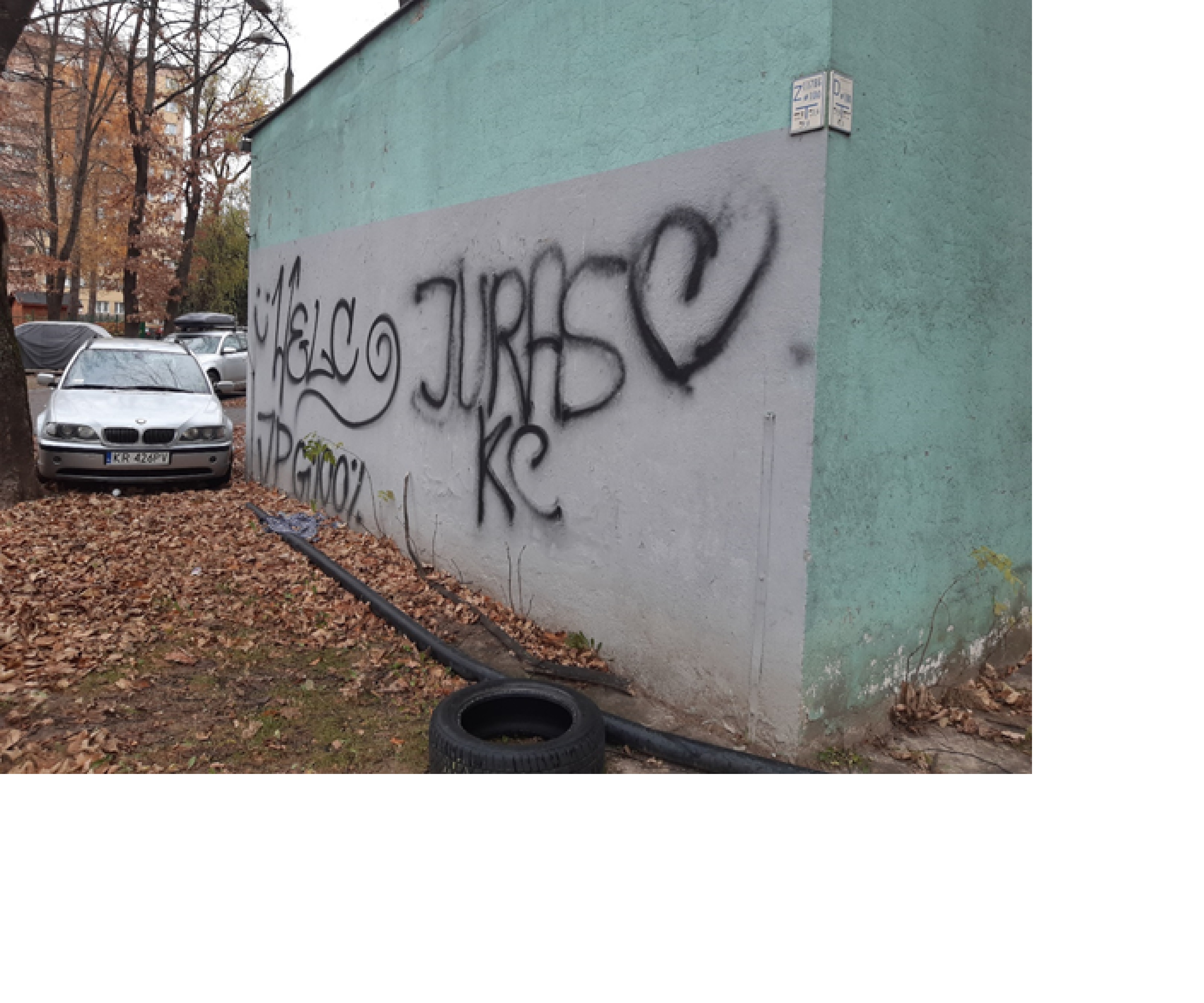 Zdjęcie przed zamalowaniem