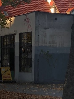 Zdjęcie przed zamalowaniem