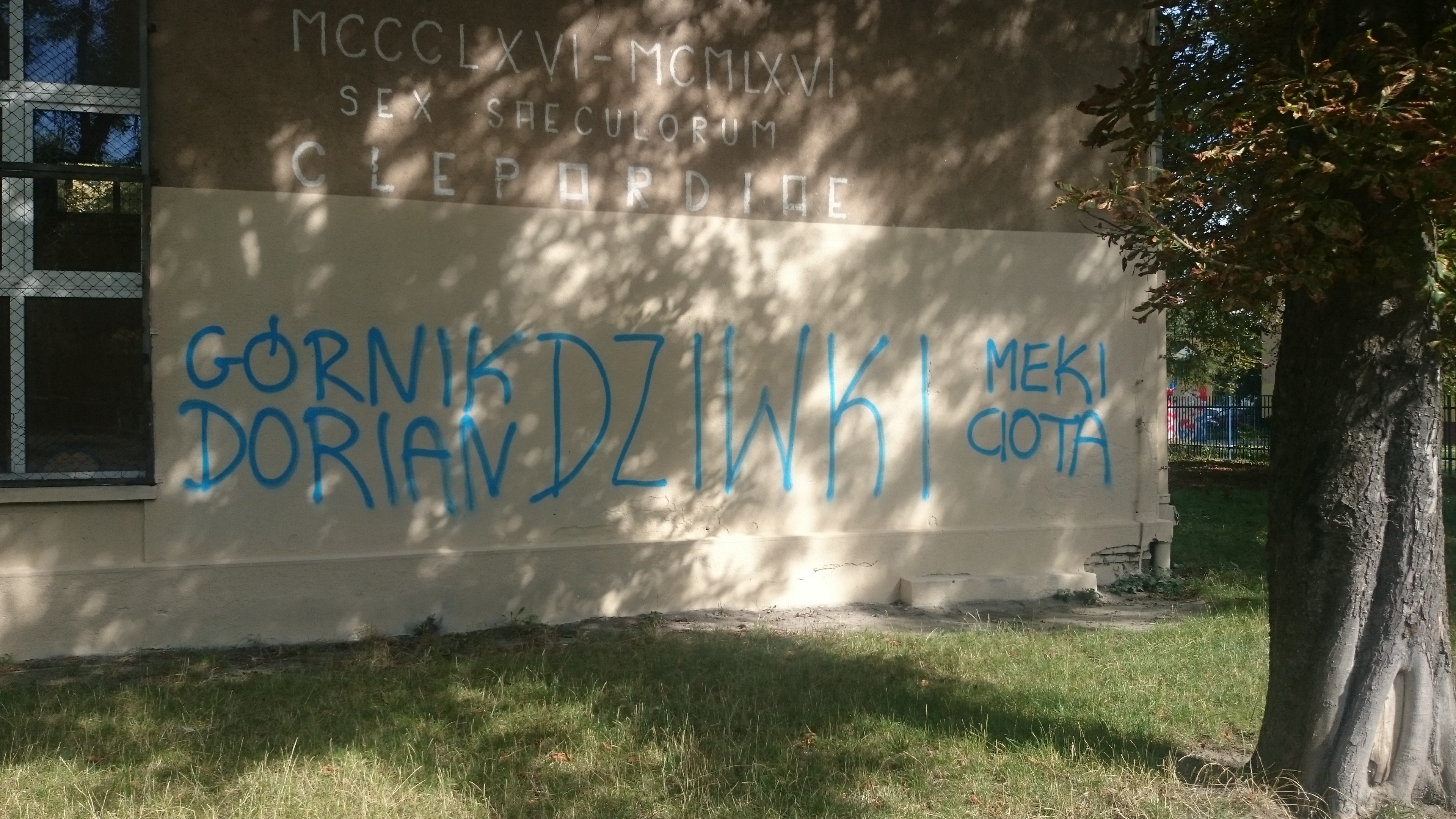 Zdjęcie przed zamalowaniem