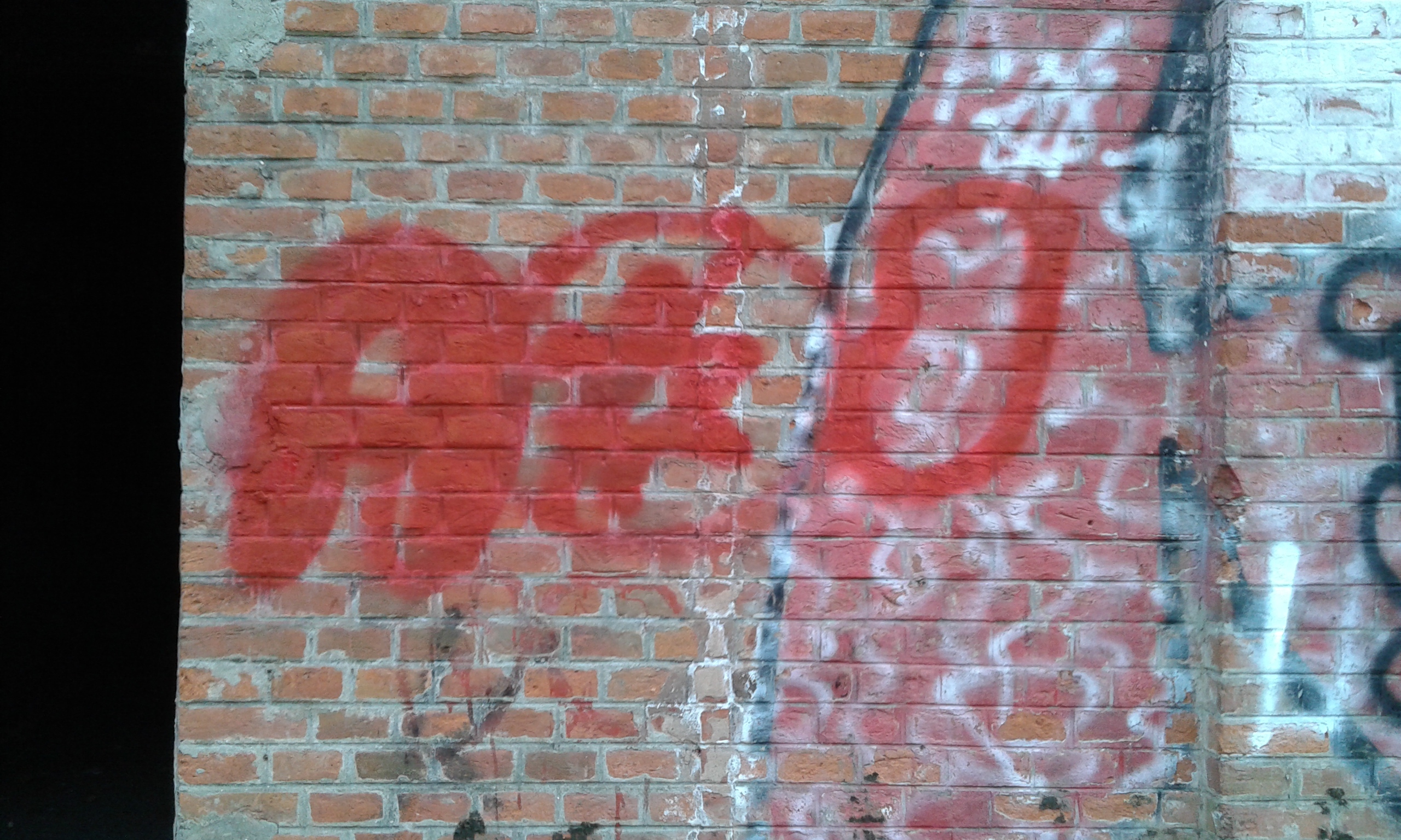 Zdjęcie przed zamalowaniem