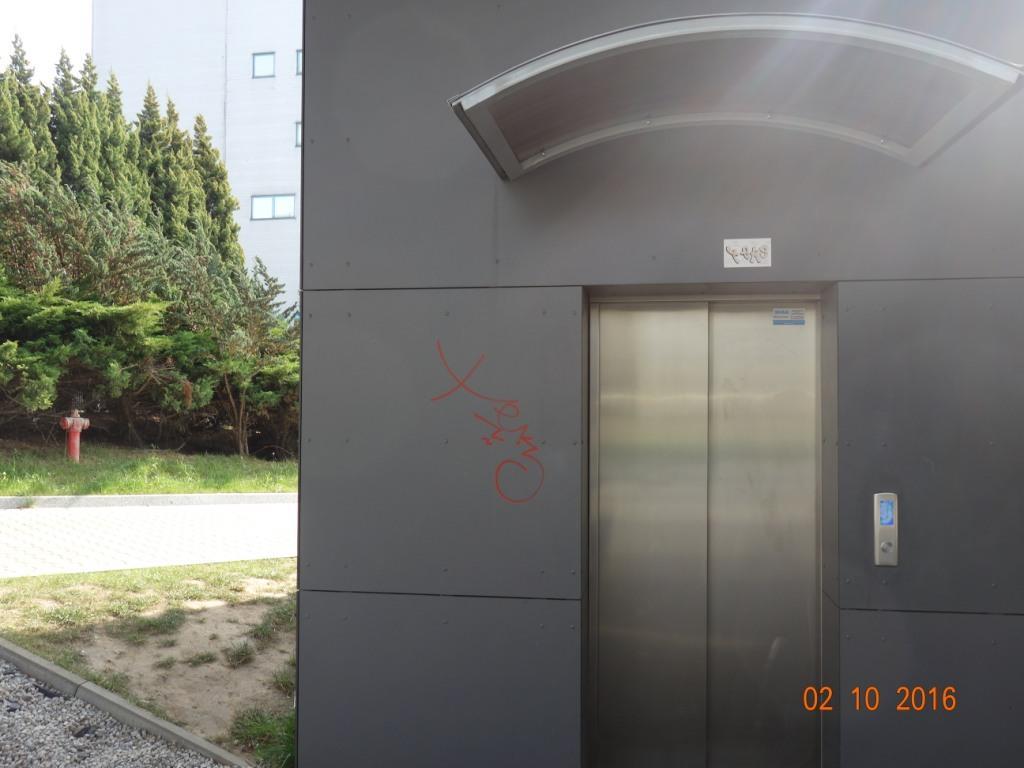 Zdjęcie przed zamalowaniem