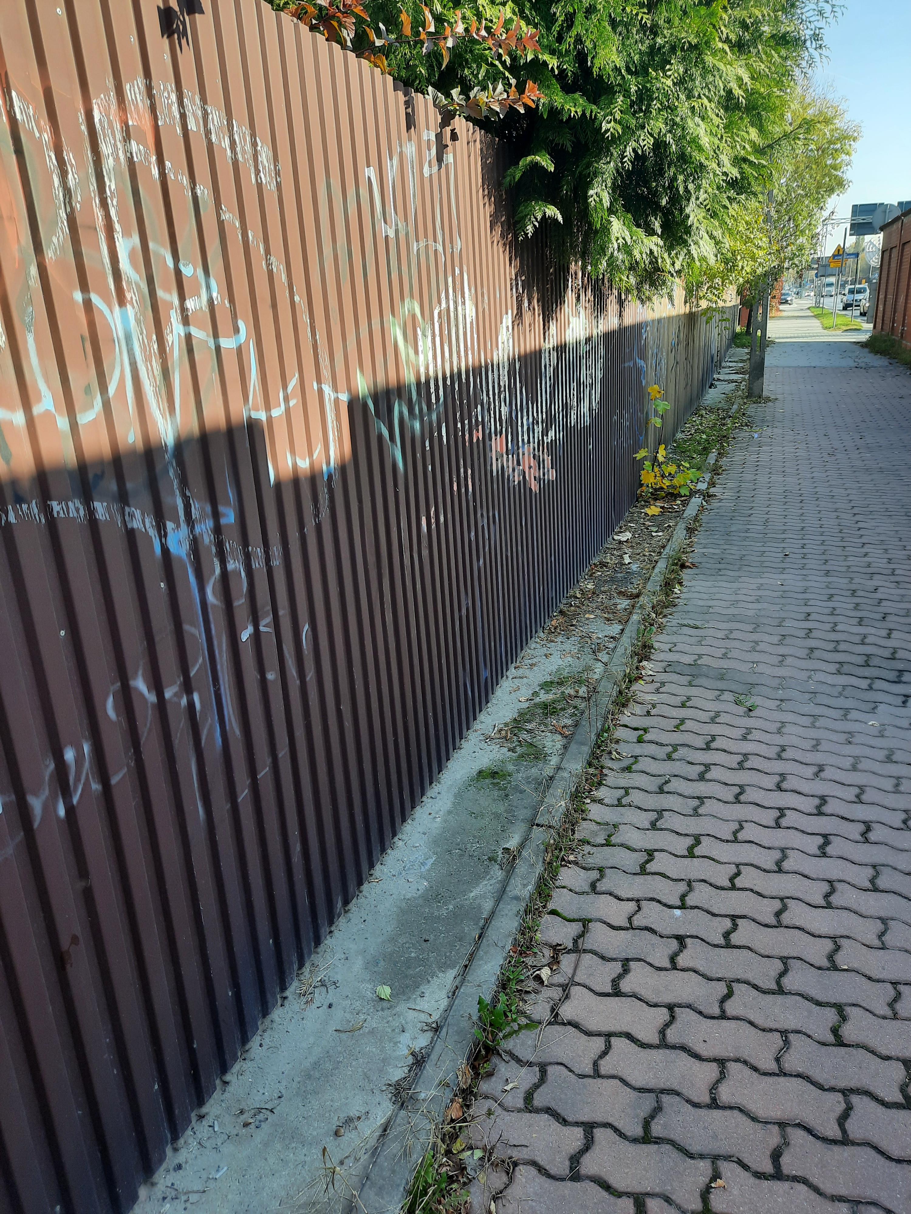 Zdjęcie przed zamalowaniem