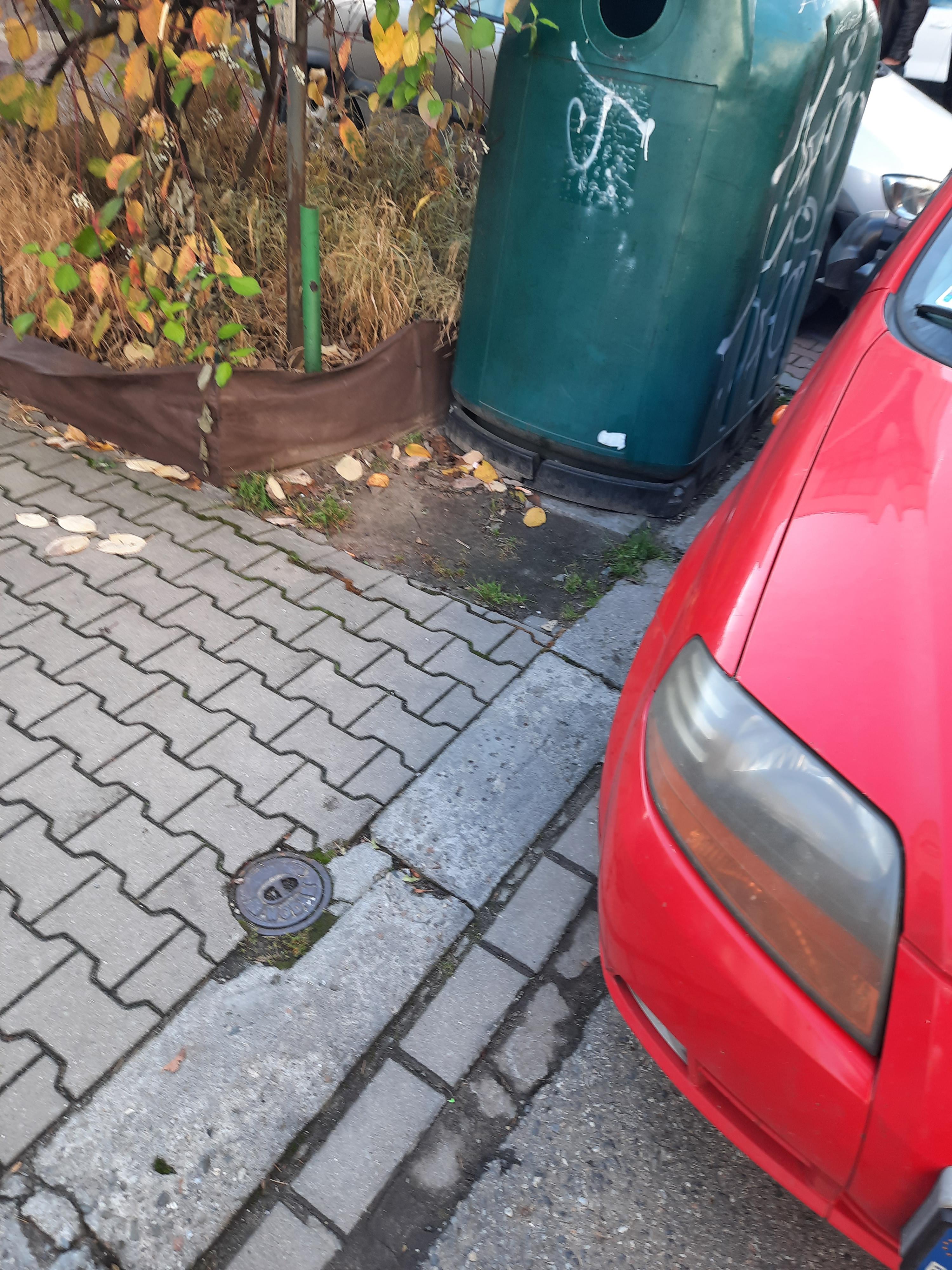 Zdjęcie przed zamalowaniem