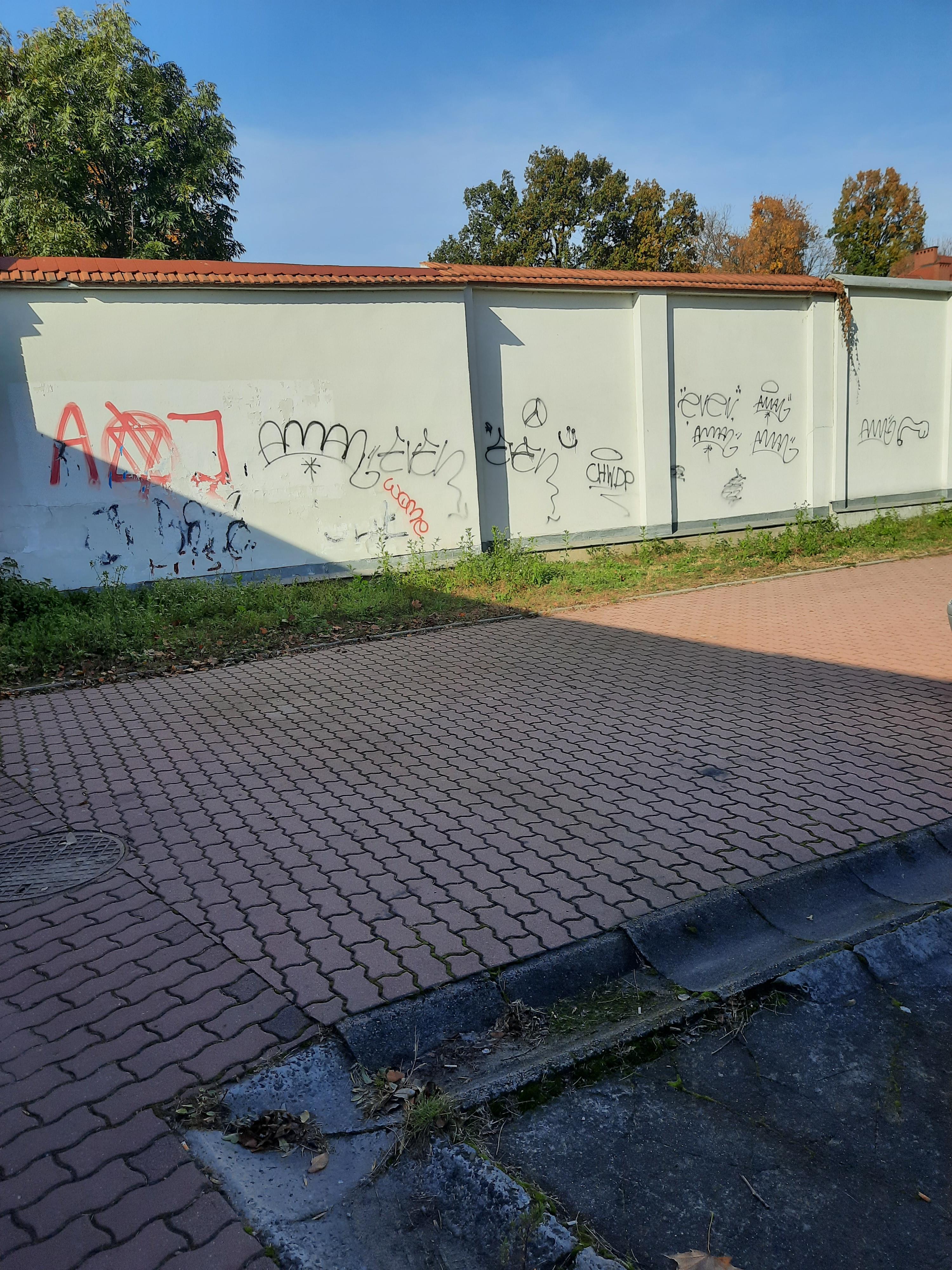 Zdjęcie przed zamalowaniem