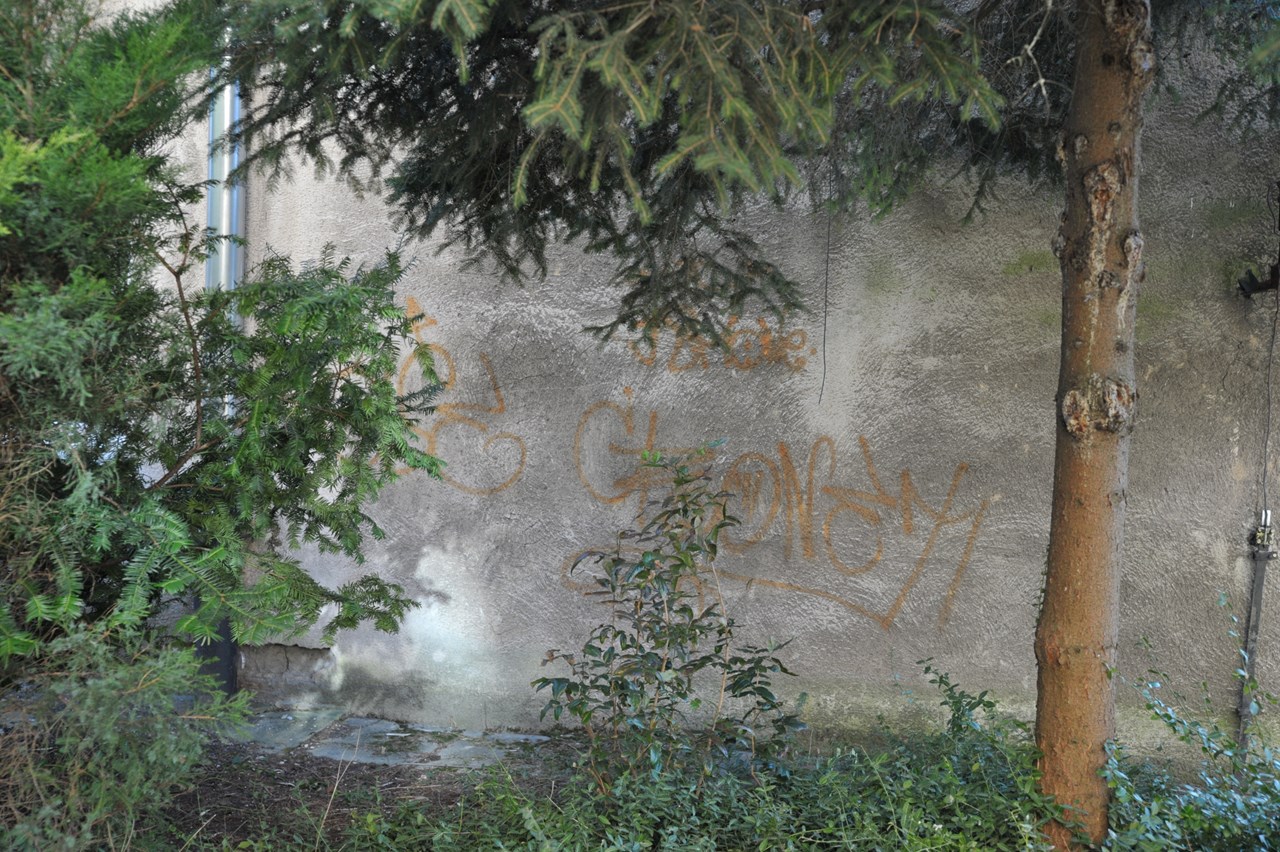Zdjęcie przed zamalowaniem