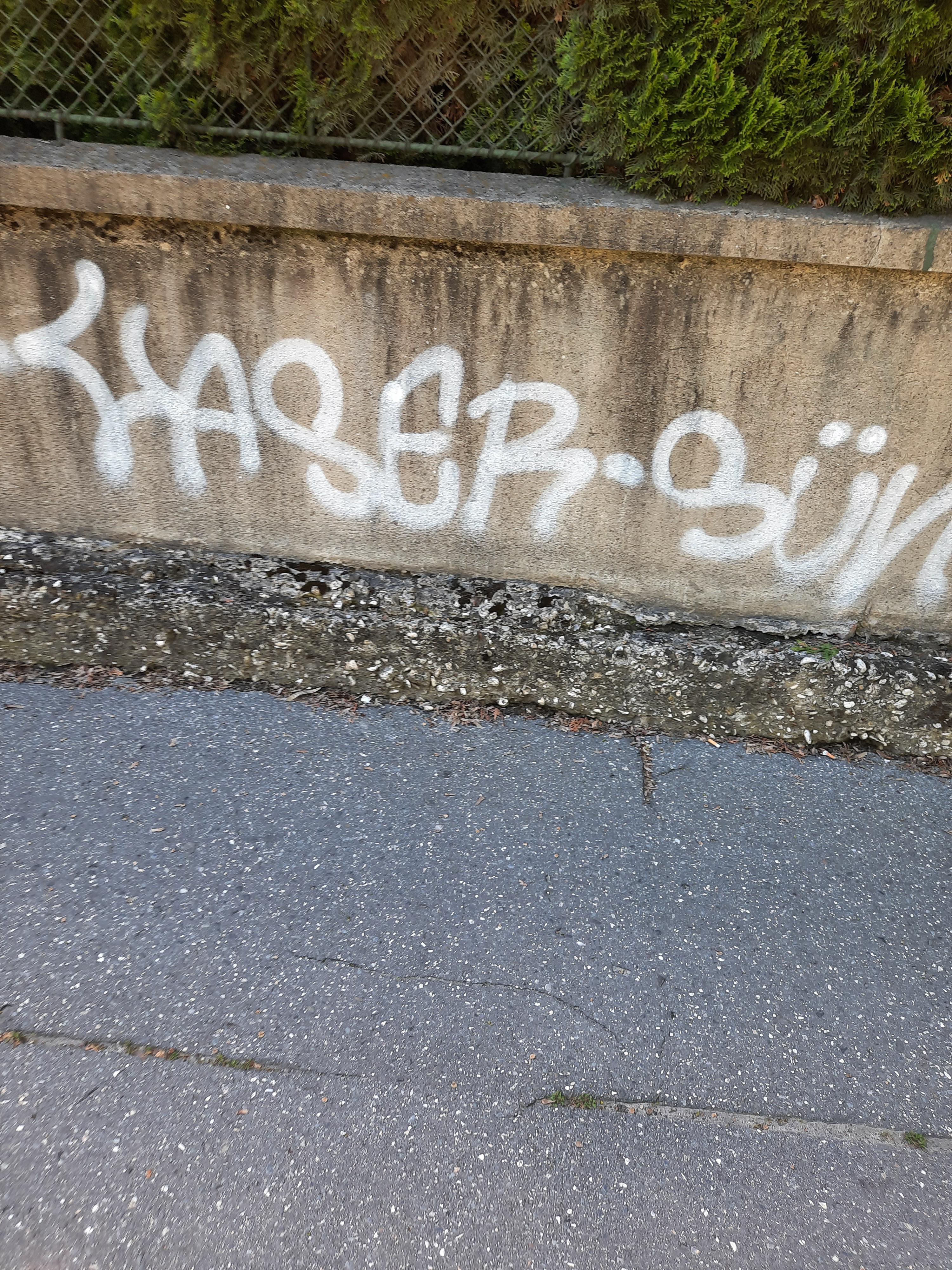 Zdjęcie przed zamalowaniem