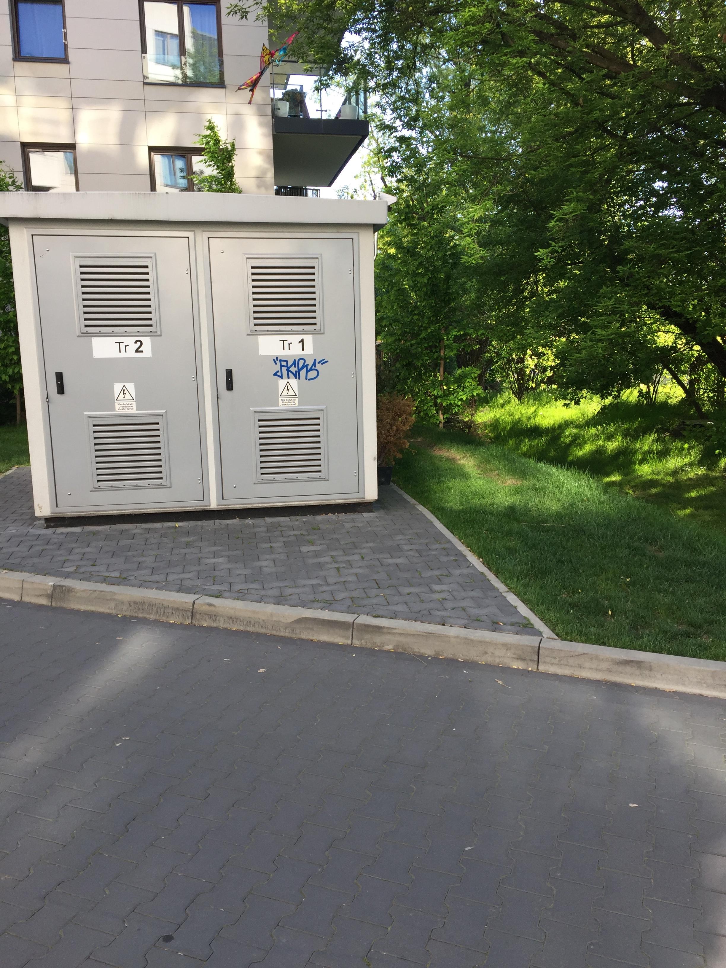 Zdjęcie przed zamalowaniem