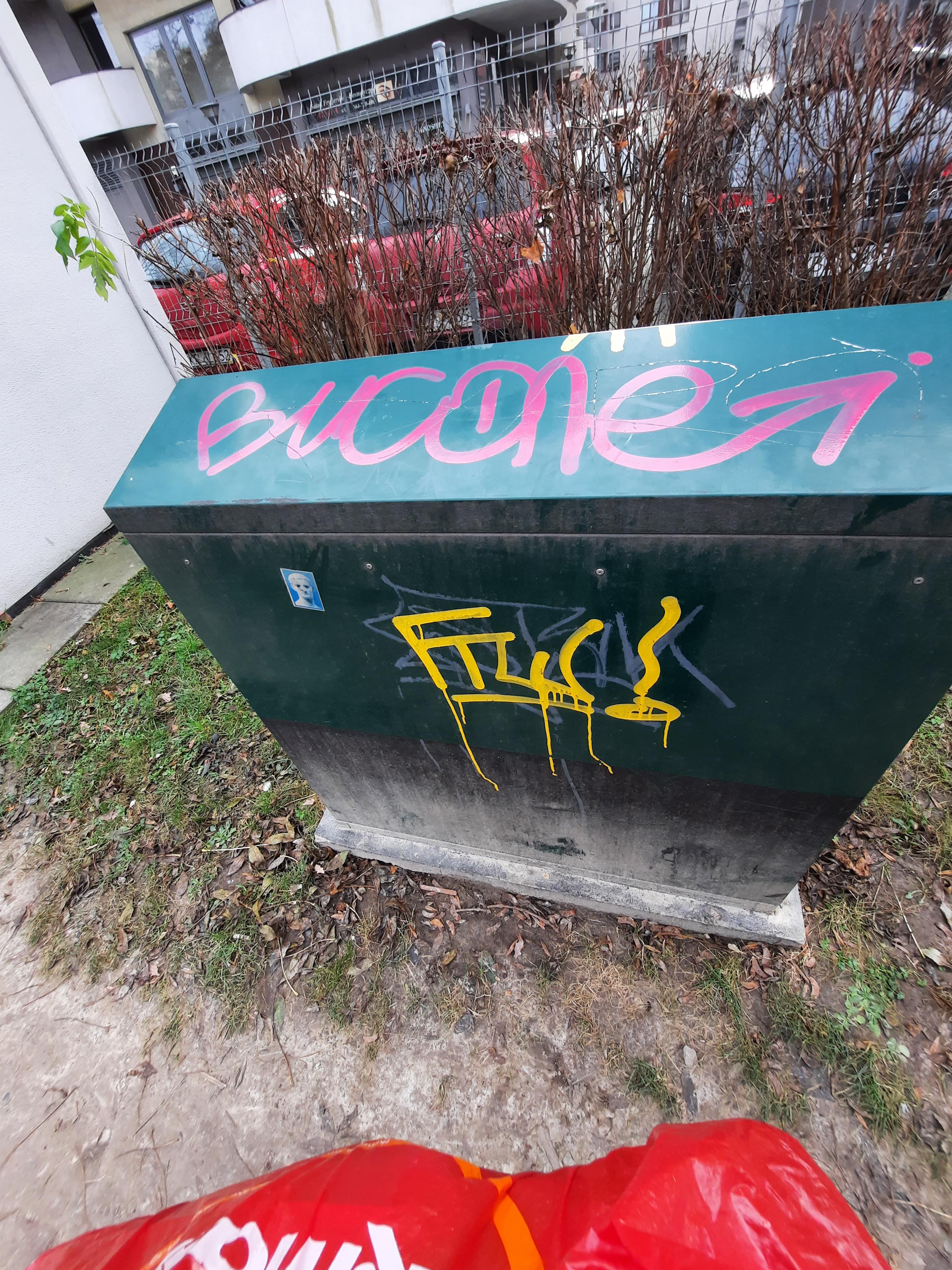 Zdjęcie przed zamalowaniem