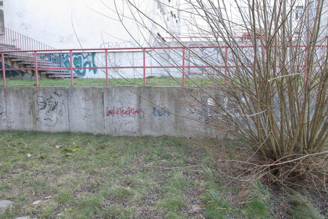 Zdjęcie przed zamalowaniem