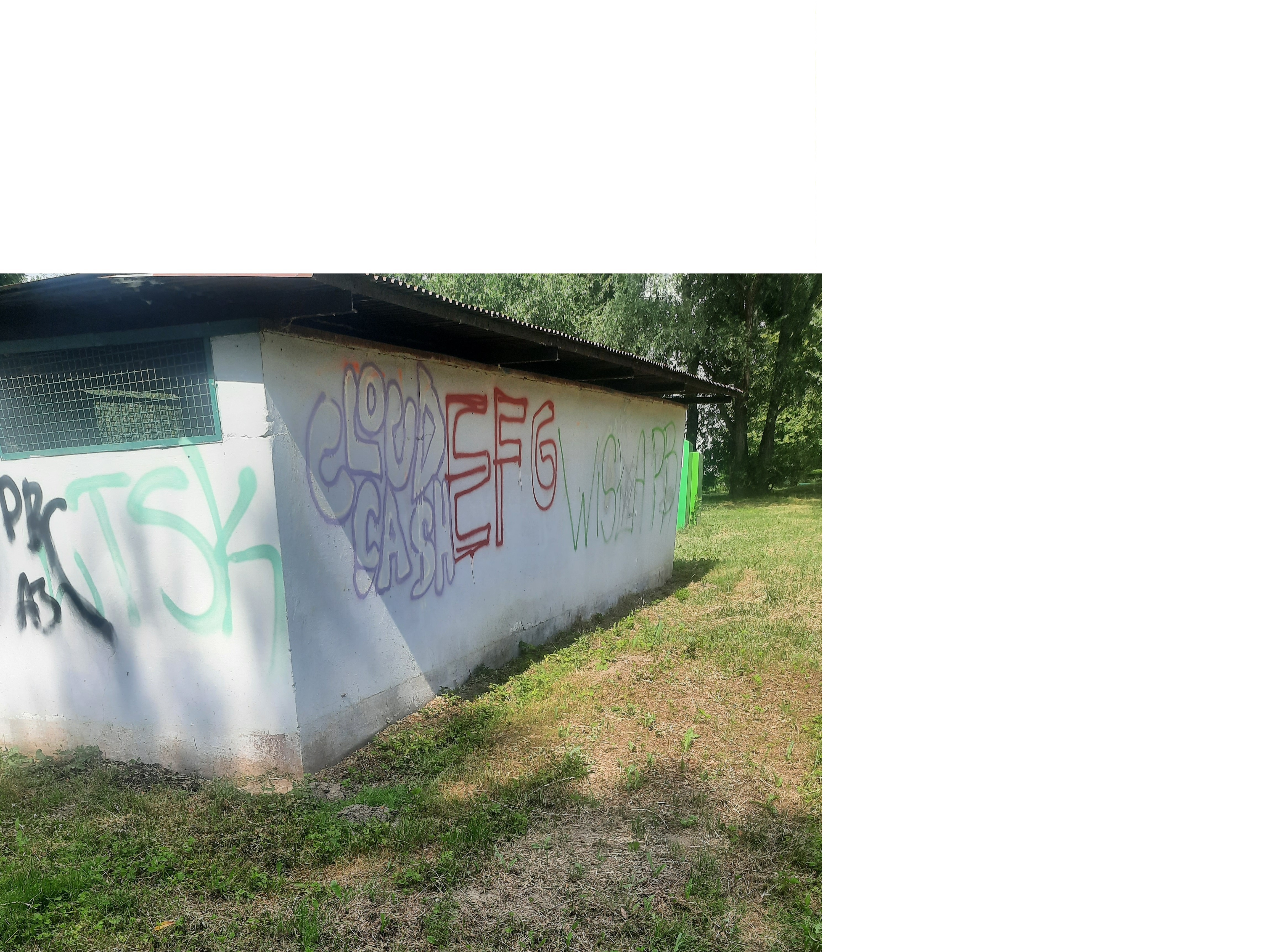 Zdjęcie przed zamalowaniem