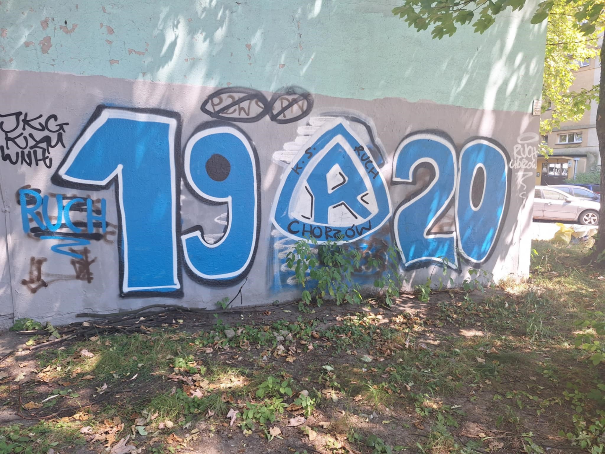 Zdjęcie przed zamalowaniem